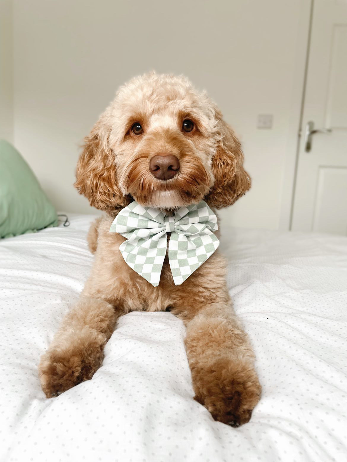 Sage Checkerboard sailor bow