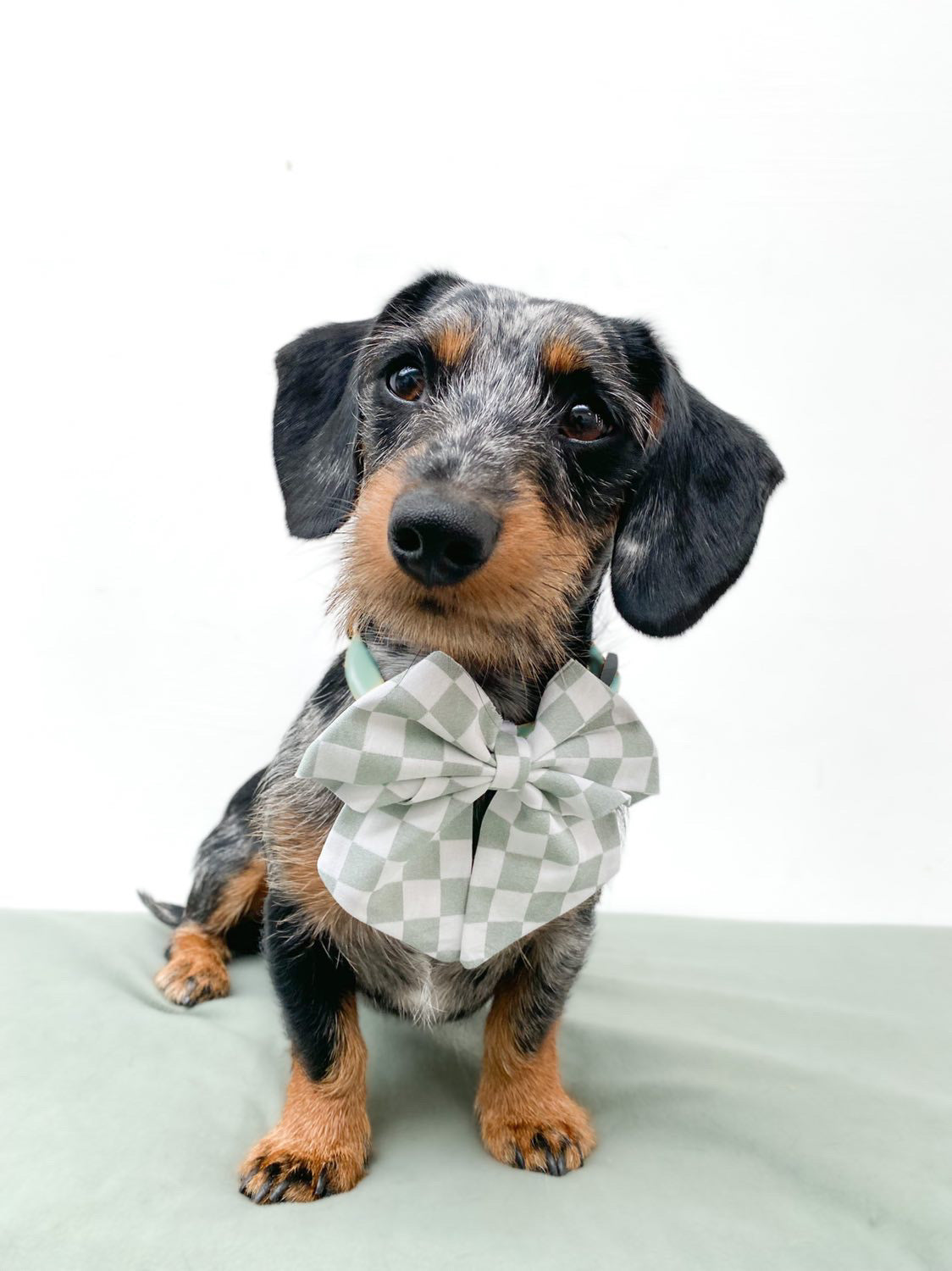 Sage Checkerboard sailor bow
