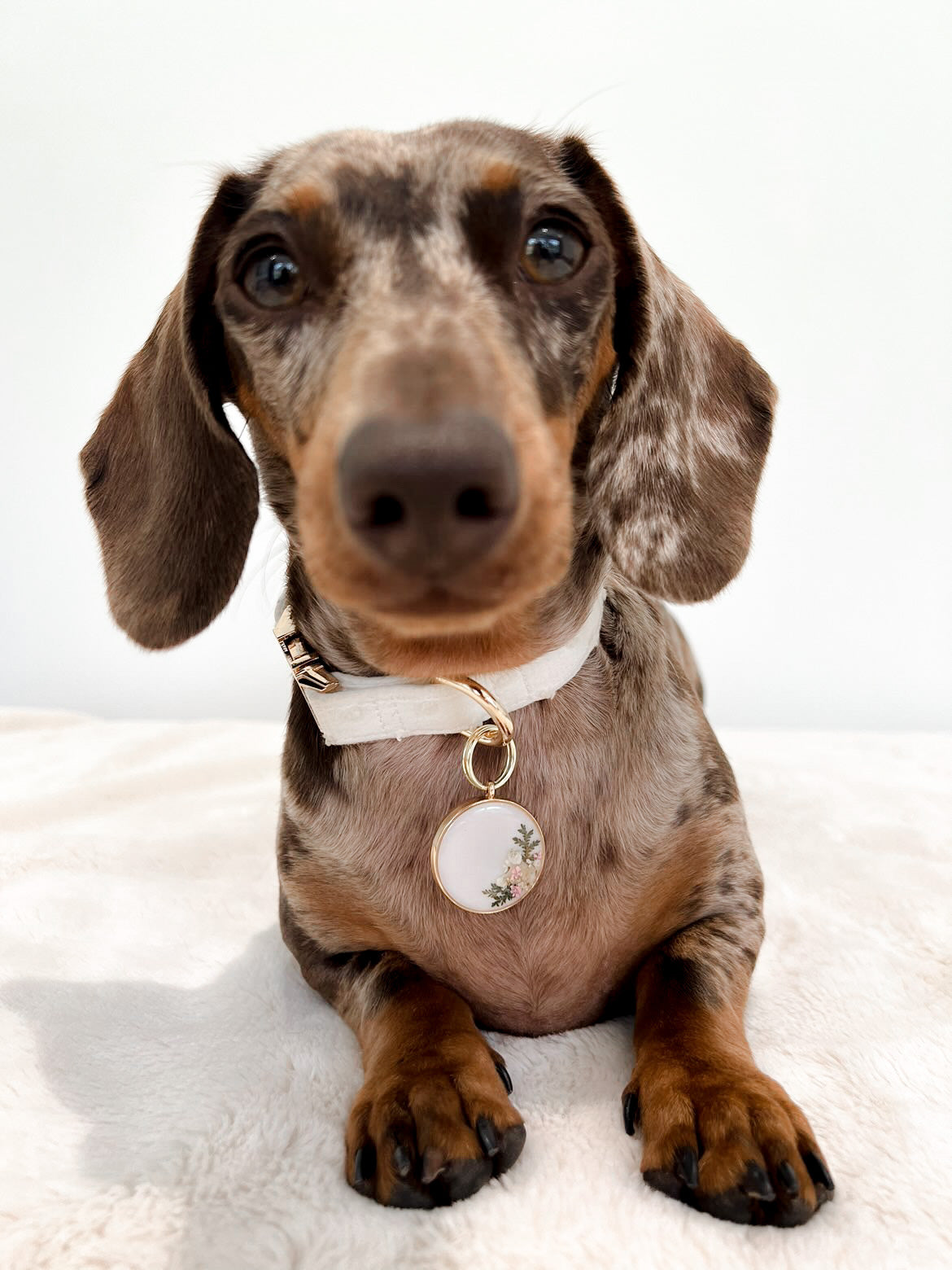 Forever Fern - Floral collar charm