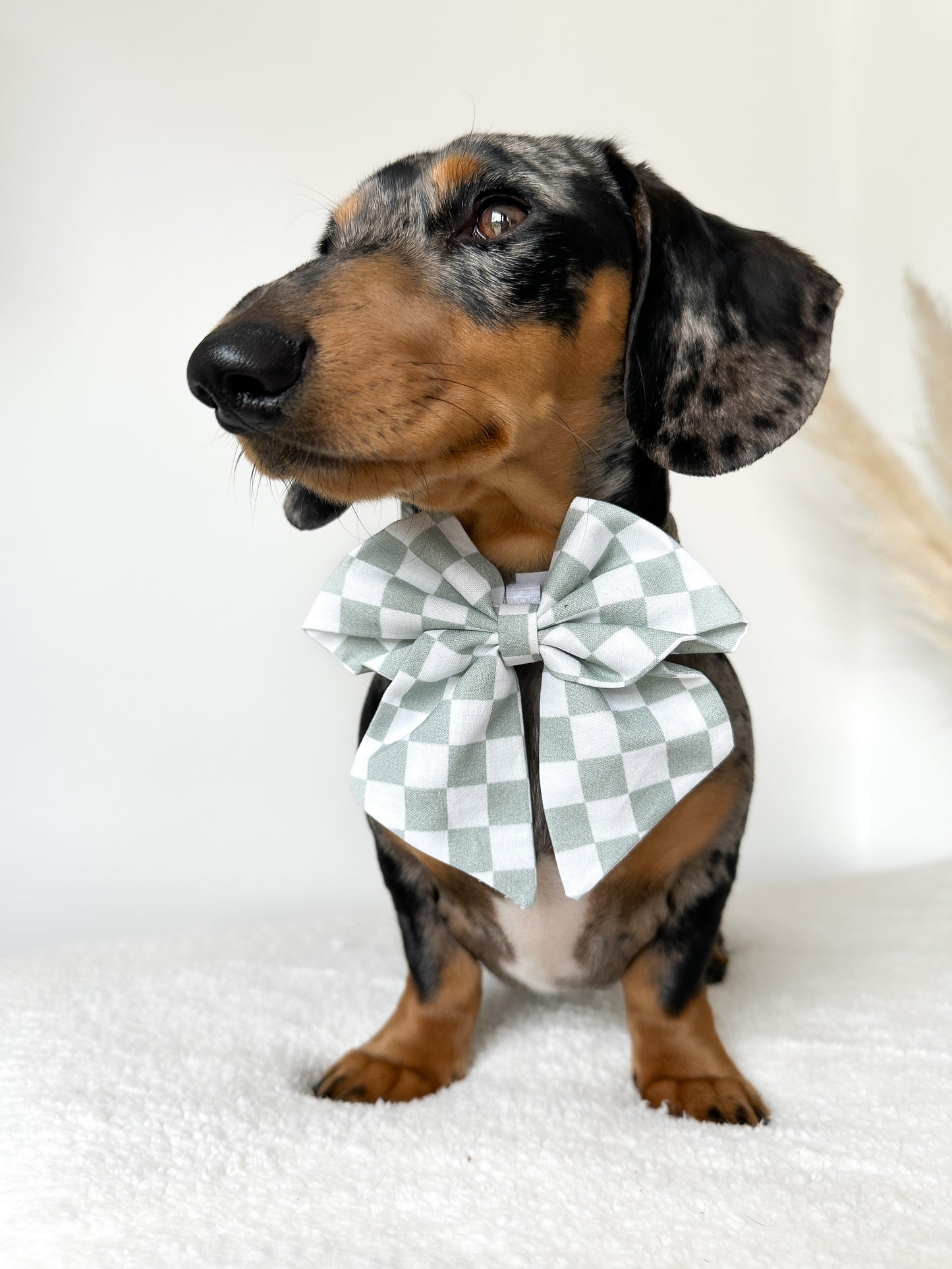 Sage Checkerboard sailor bow