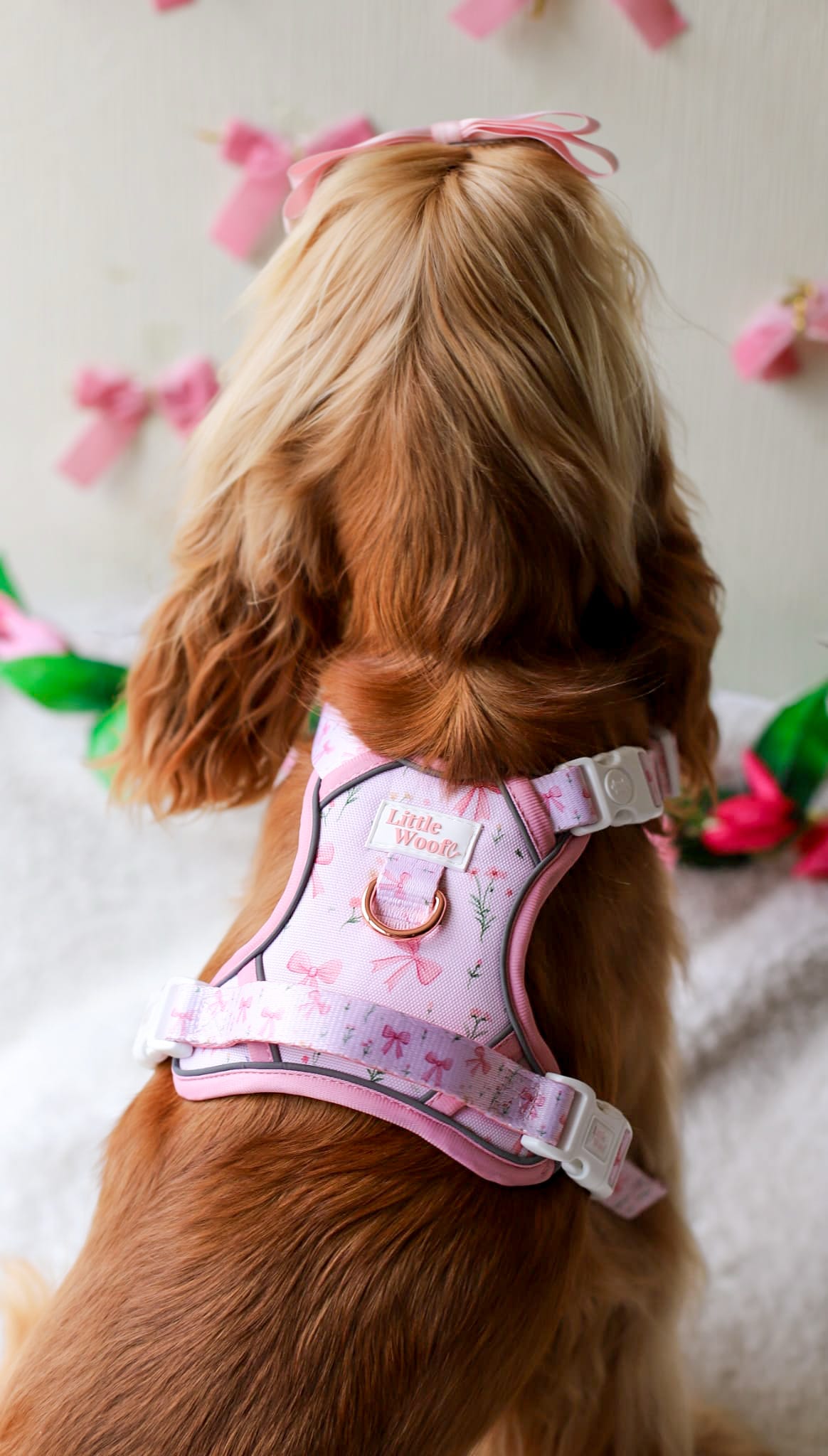 Bows & Bouquets 3-click dog harness