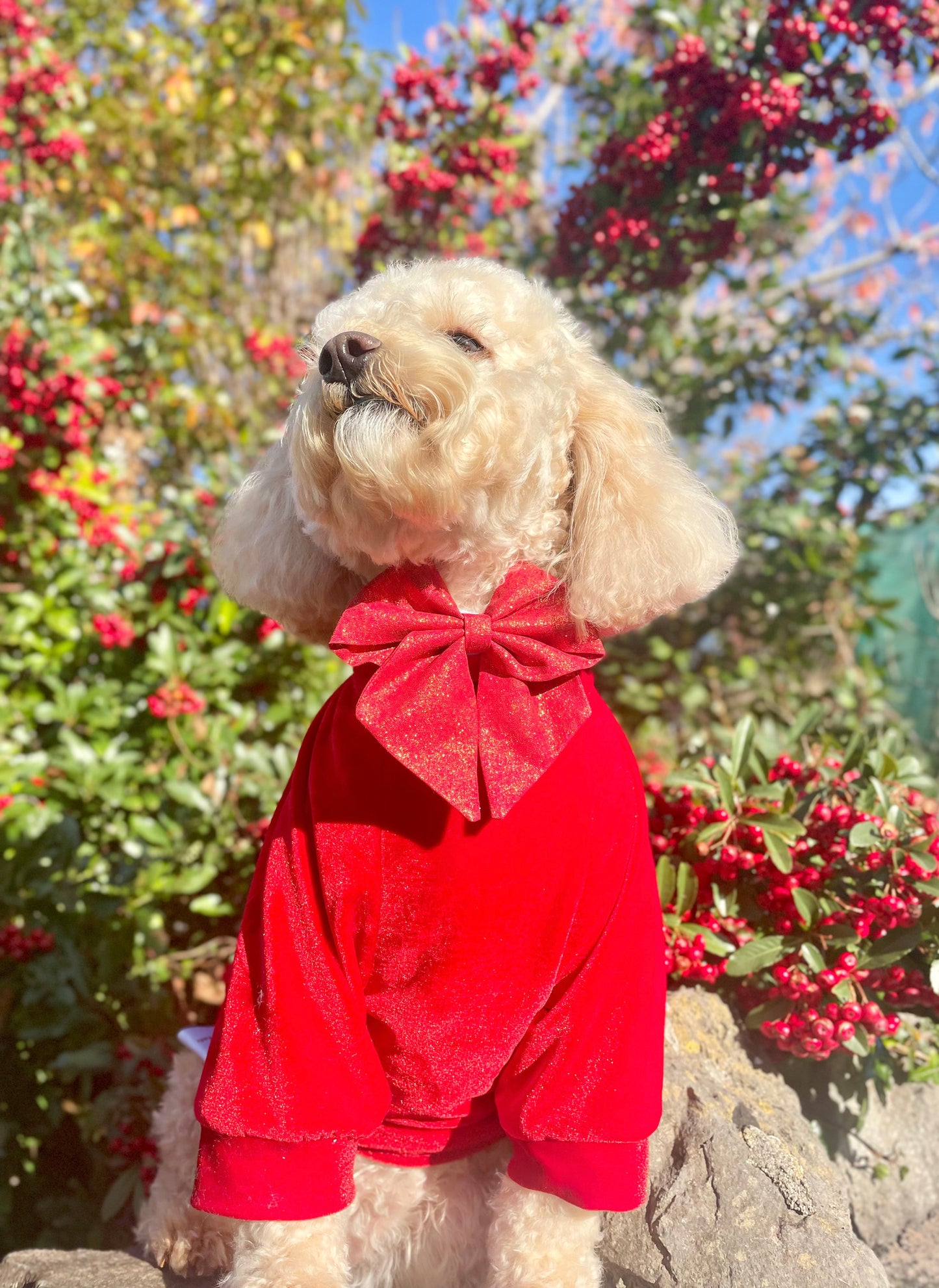 Holly Red glitter sailor bow