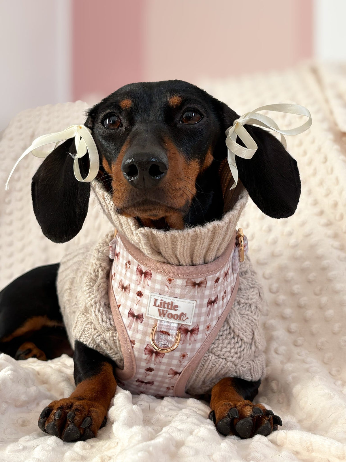 Bows & Bramble - Adjustable dog harness
