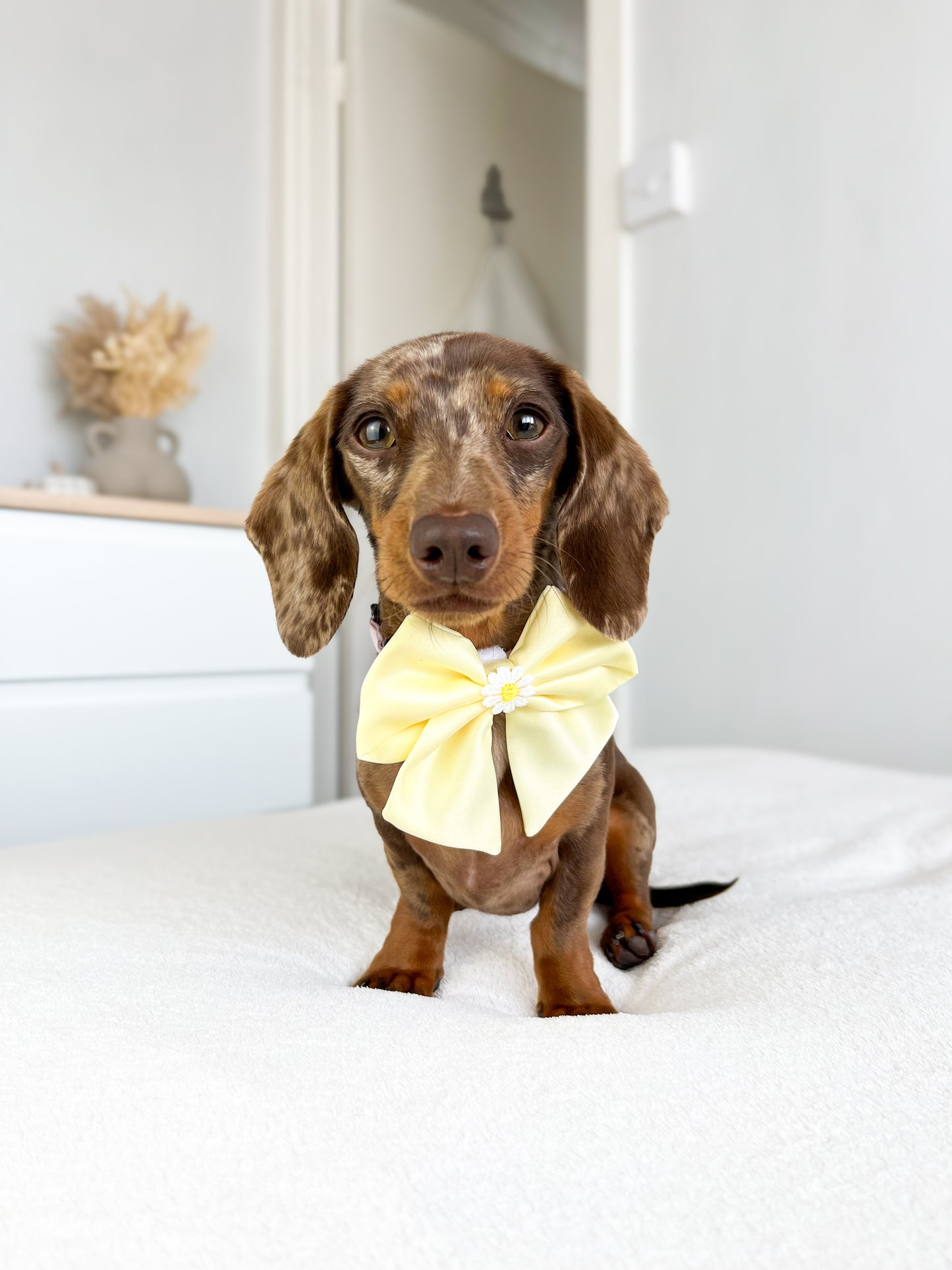 Baby yellow satin sailor bow