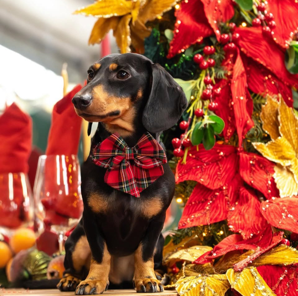 Red tartan Sailor bow