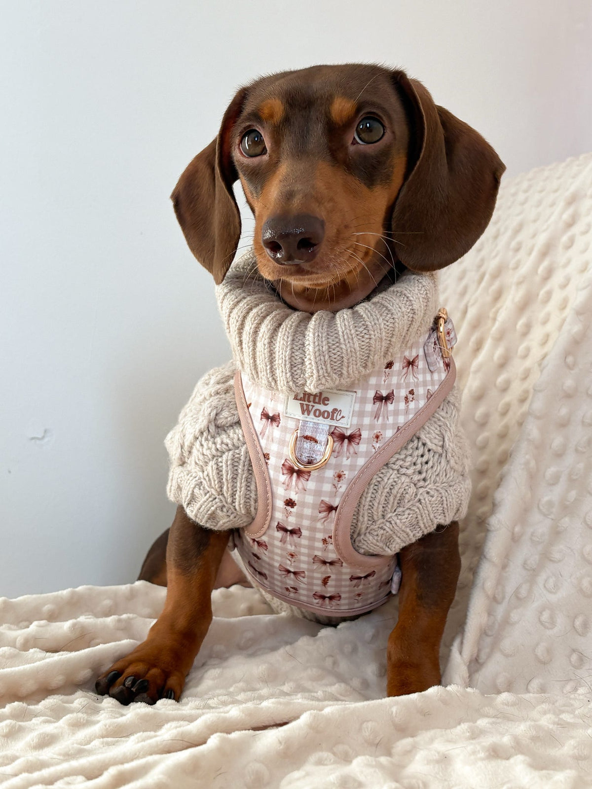 Bows & Bramble - Adjustable dog harness