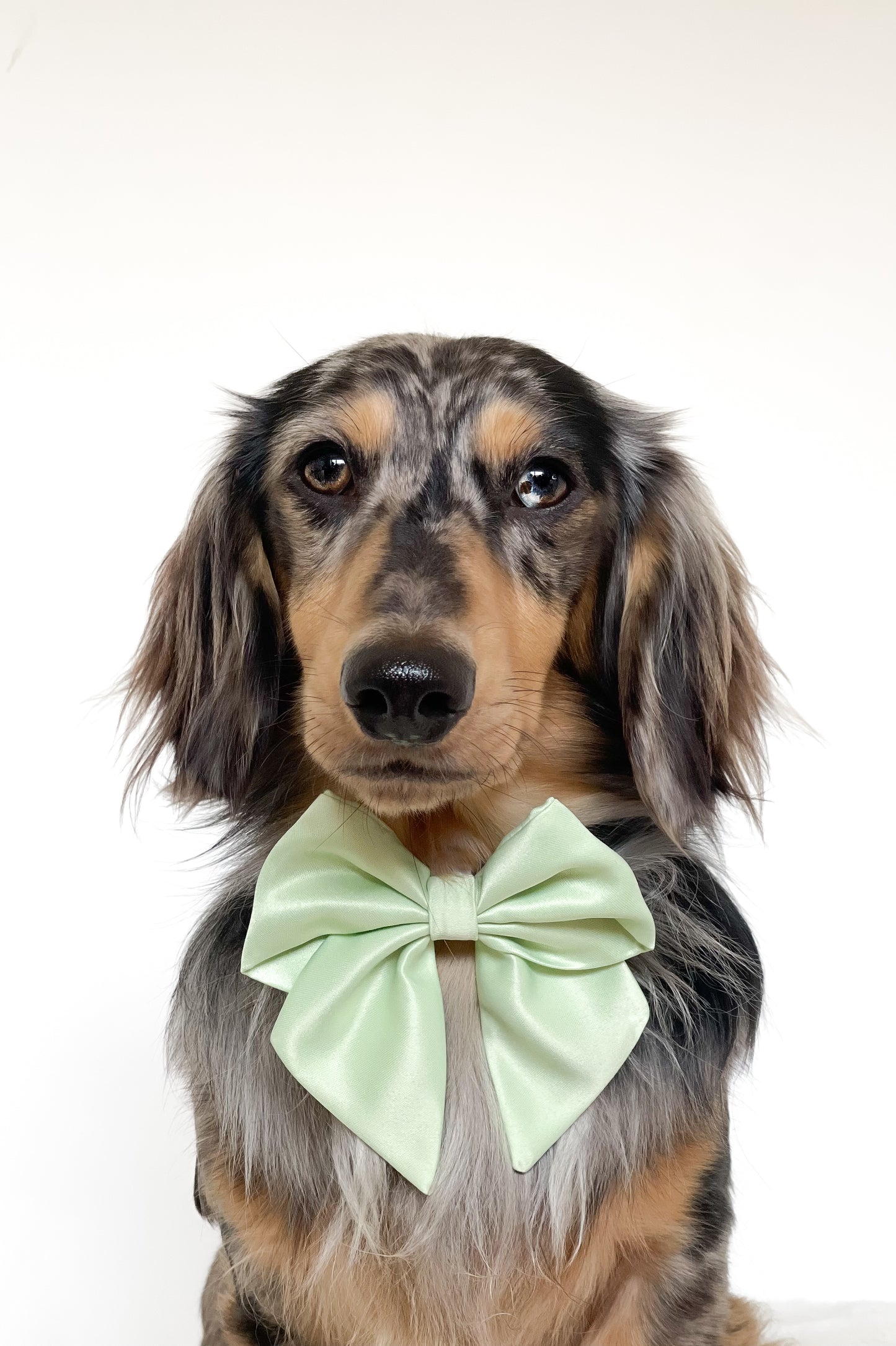 Matcha satin sailor bow