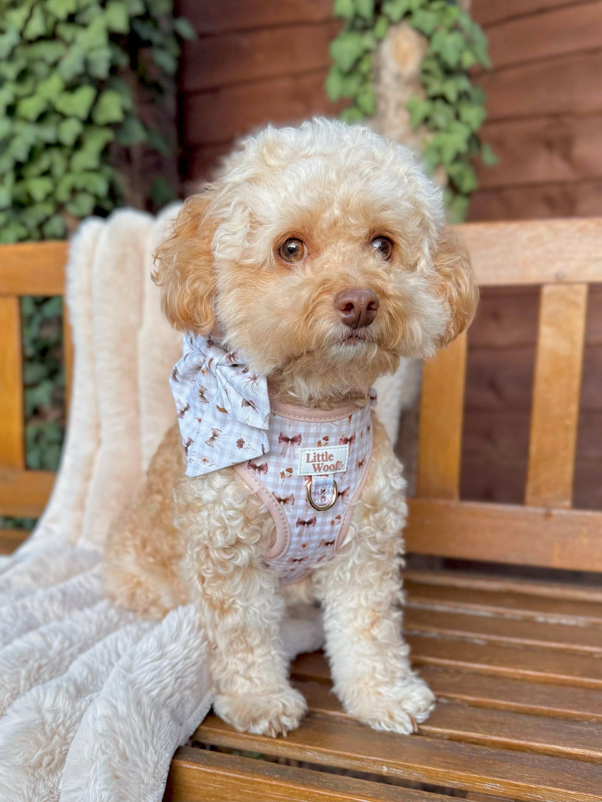 Bows & Bramble - Adjustable dog harness