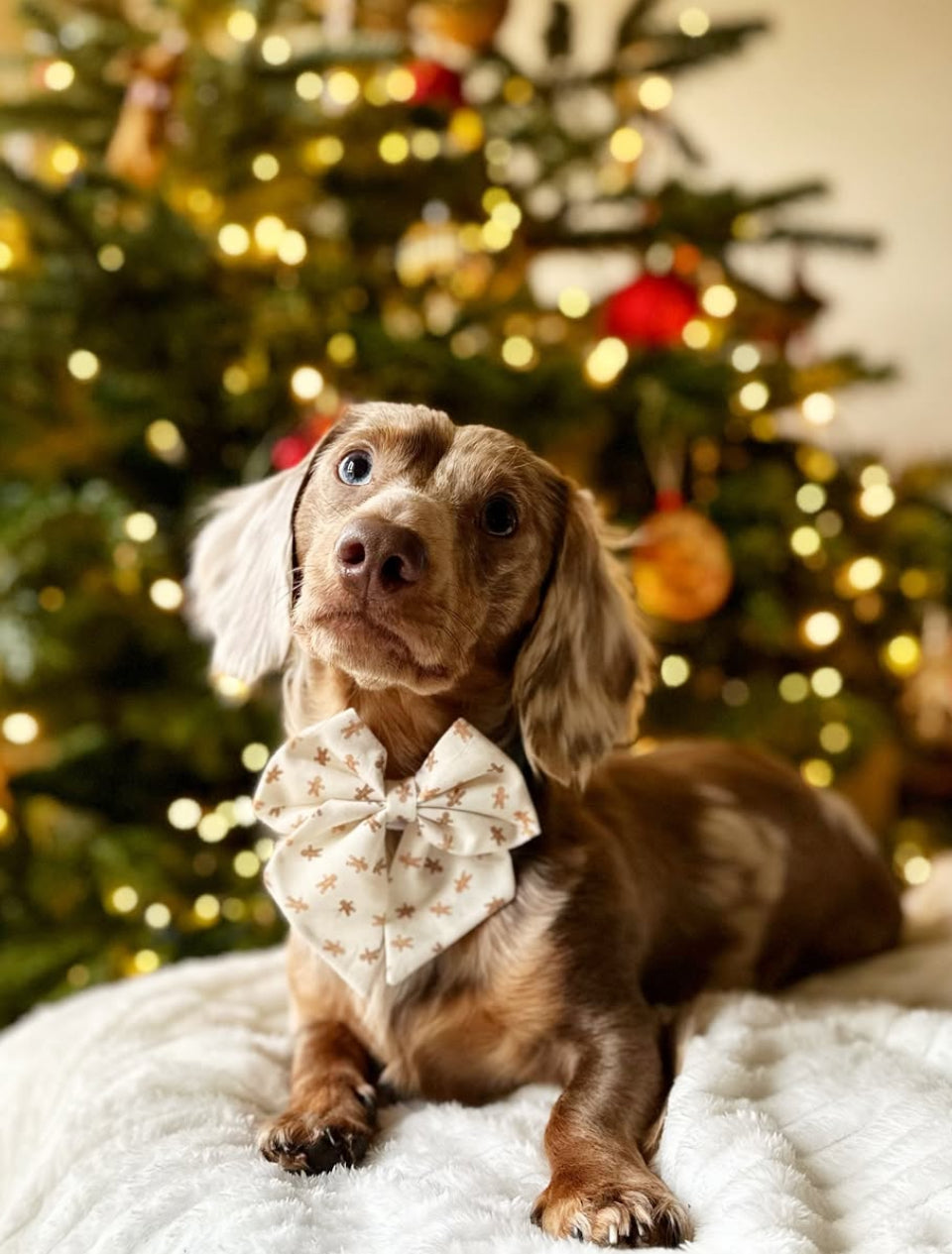 Sweet Treats sailor bow