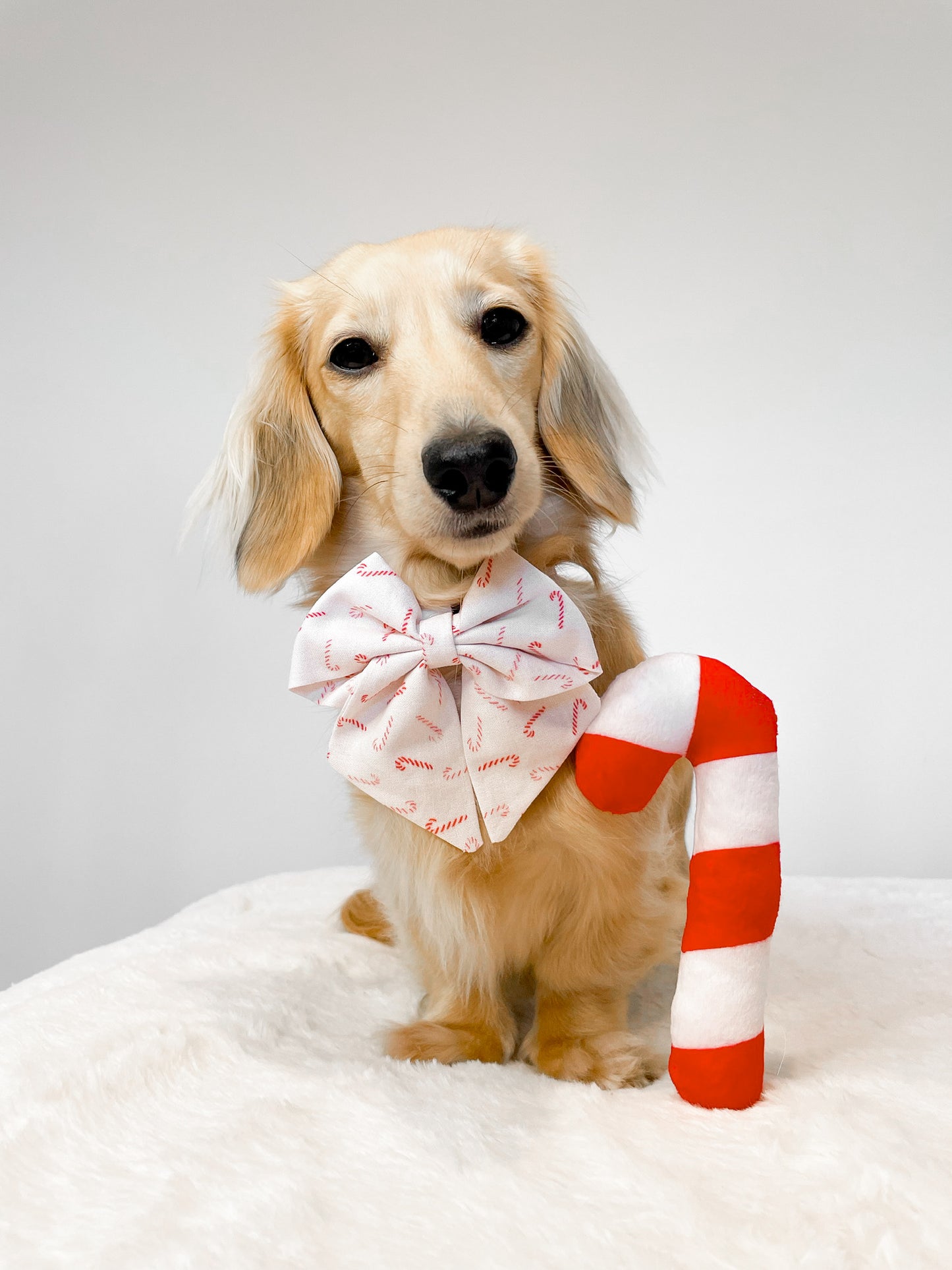 Candy cane lane sailor bow