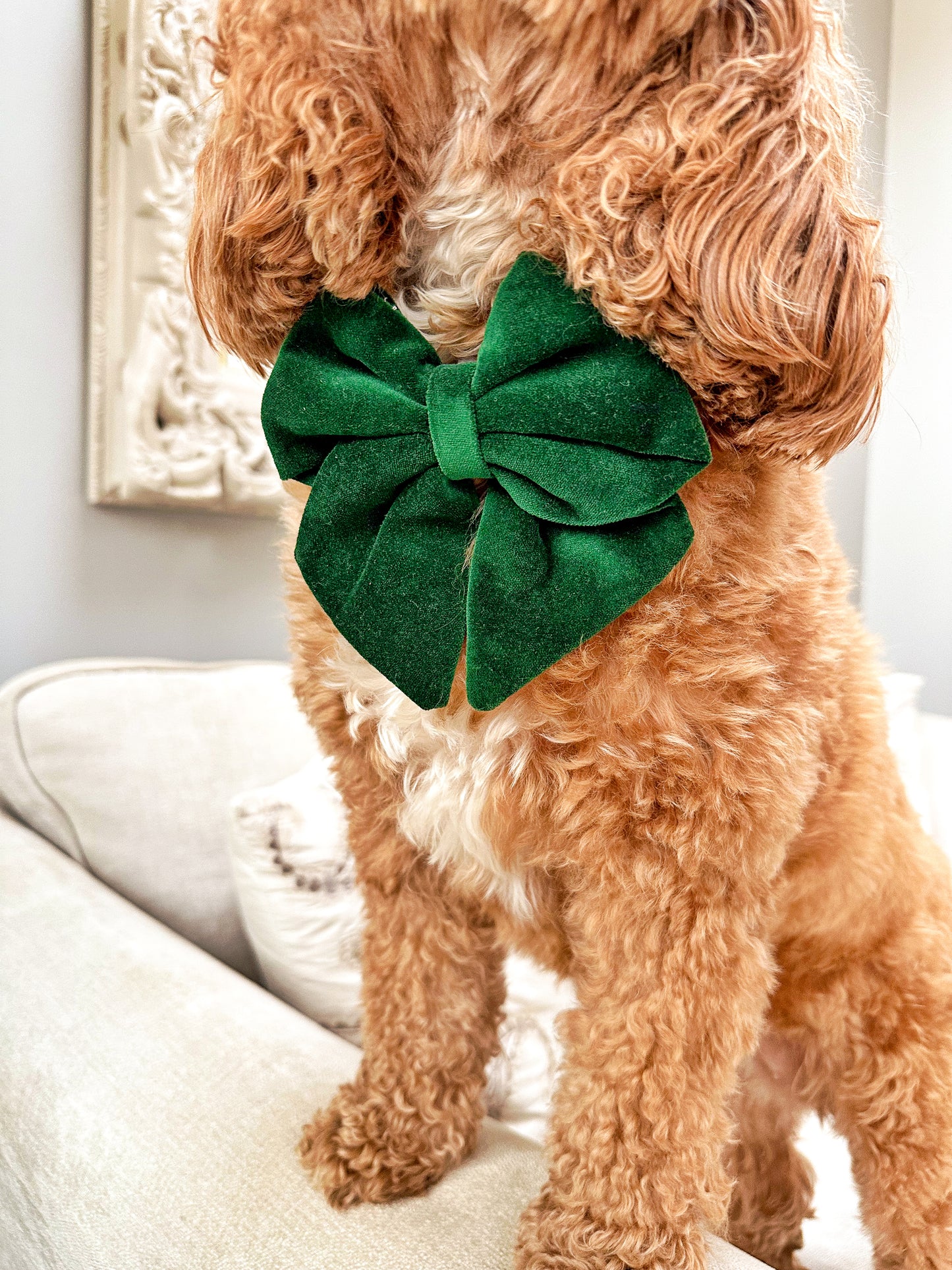 Green velvet sailor bow