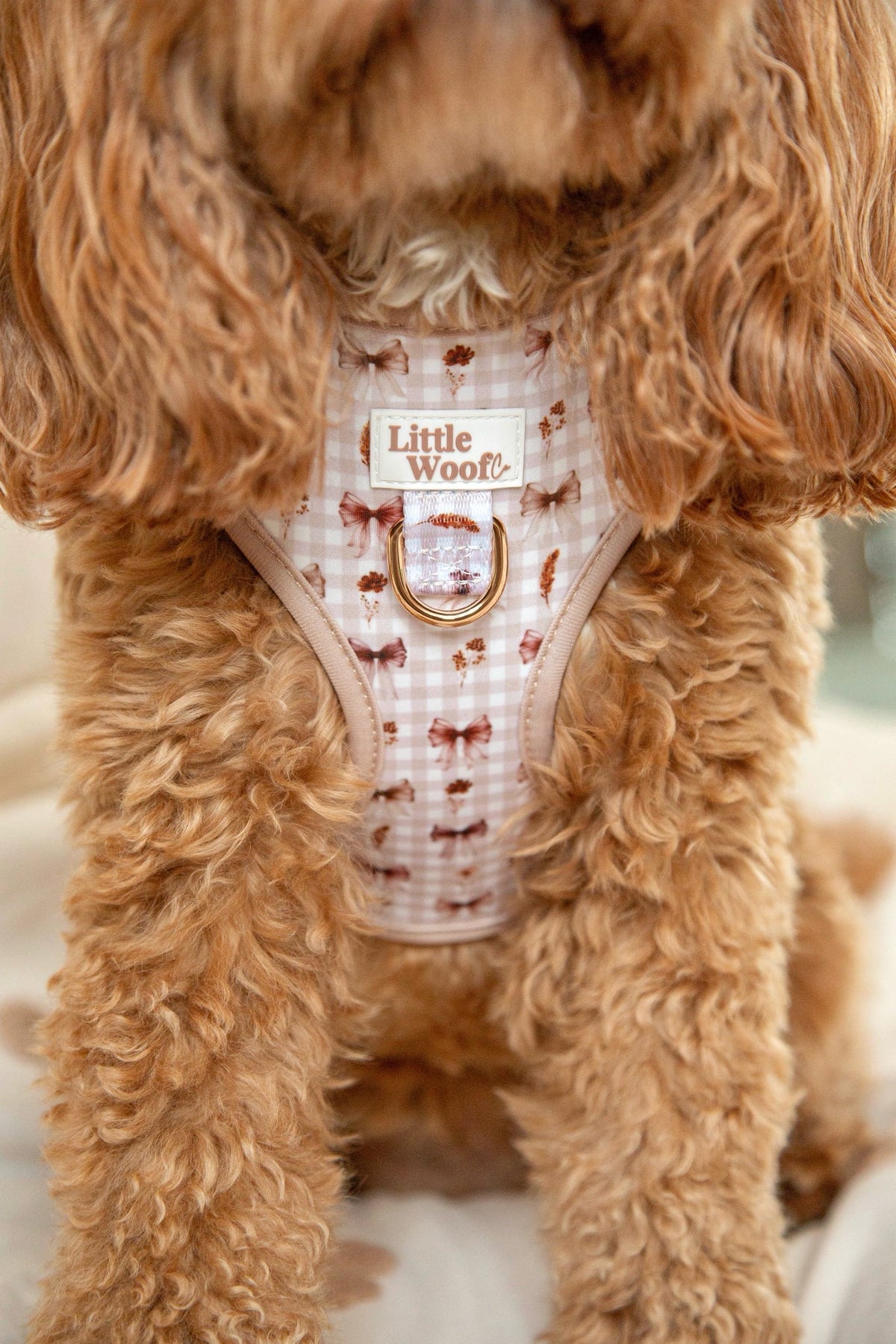 Bows & Bramble - Adjustable dog harness