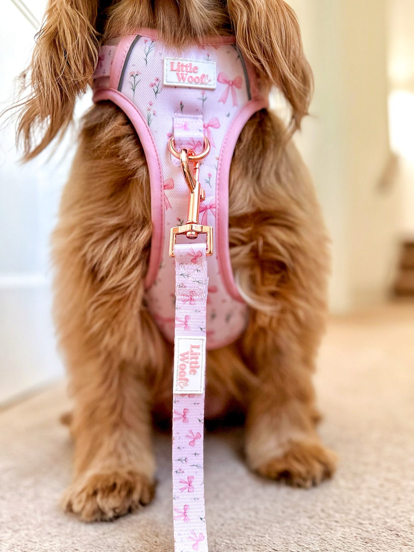 Bows & Bouquets 3-click dog harness