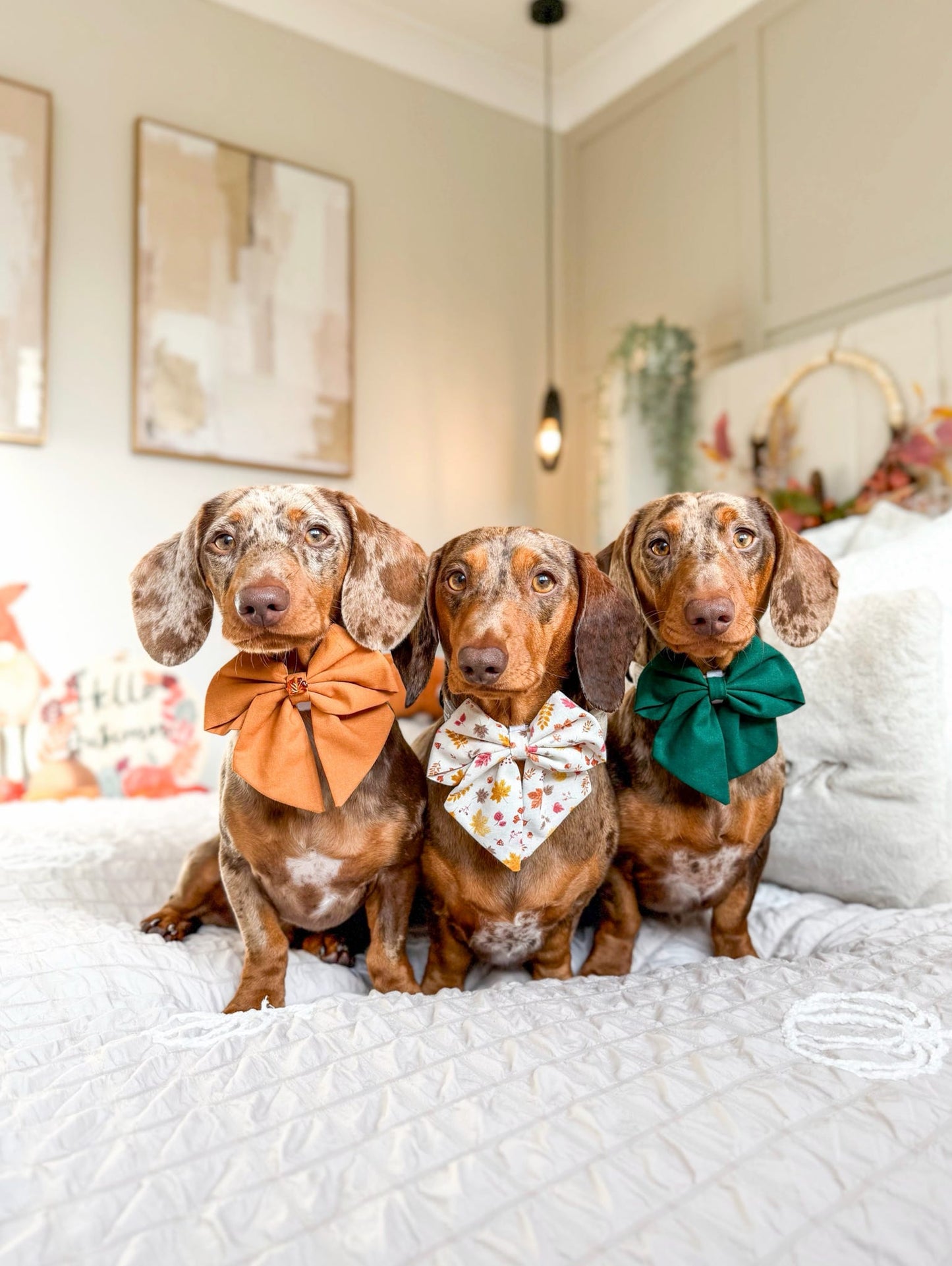 Forest green sailor bow