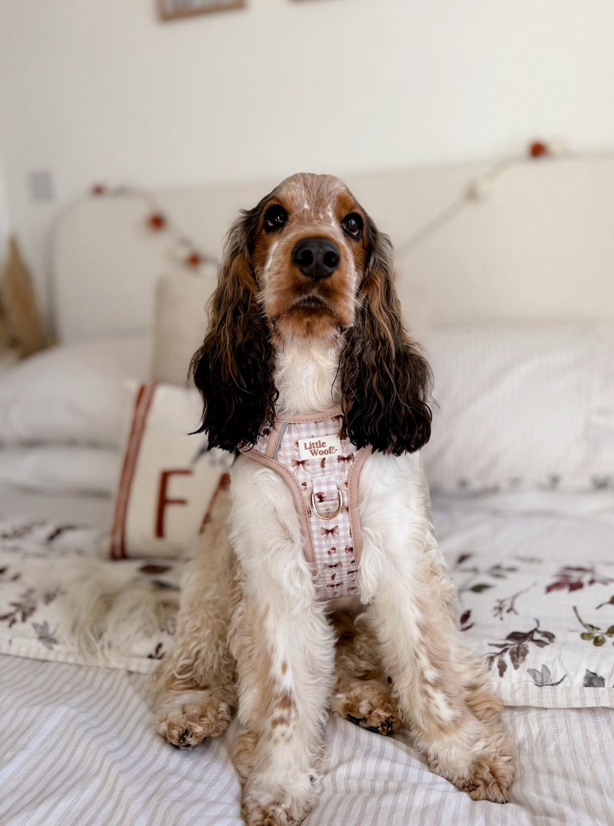 Bows & Bramble - 3-click dog harness