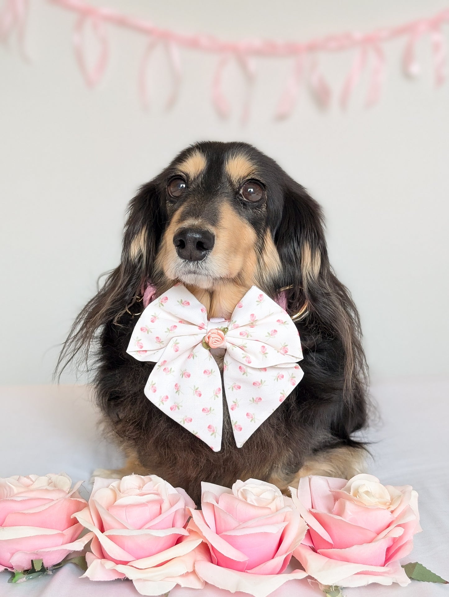 Rosalie sailor bow