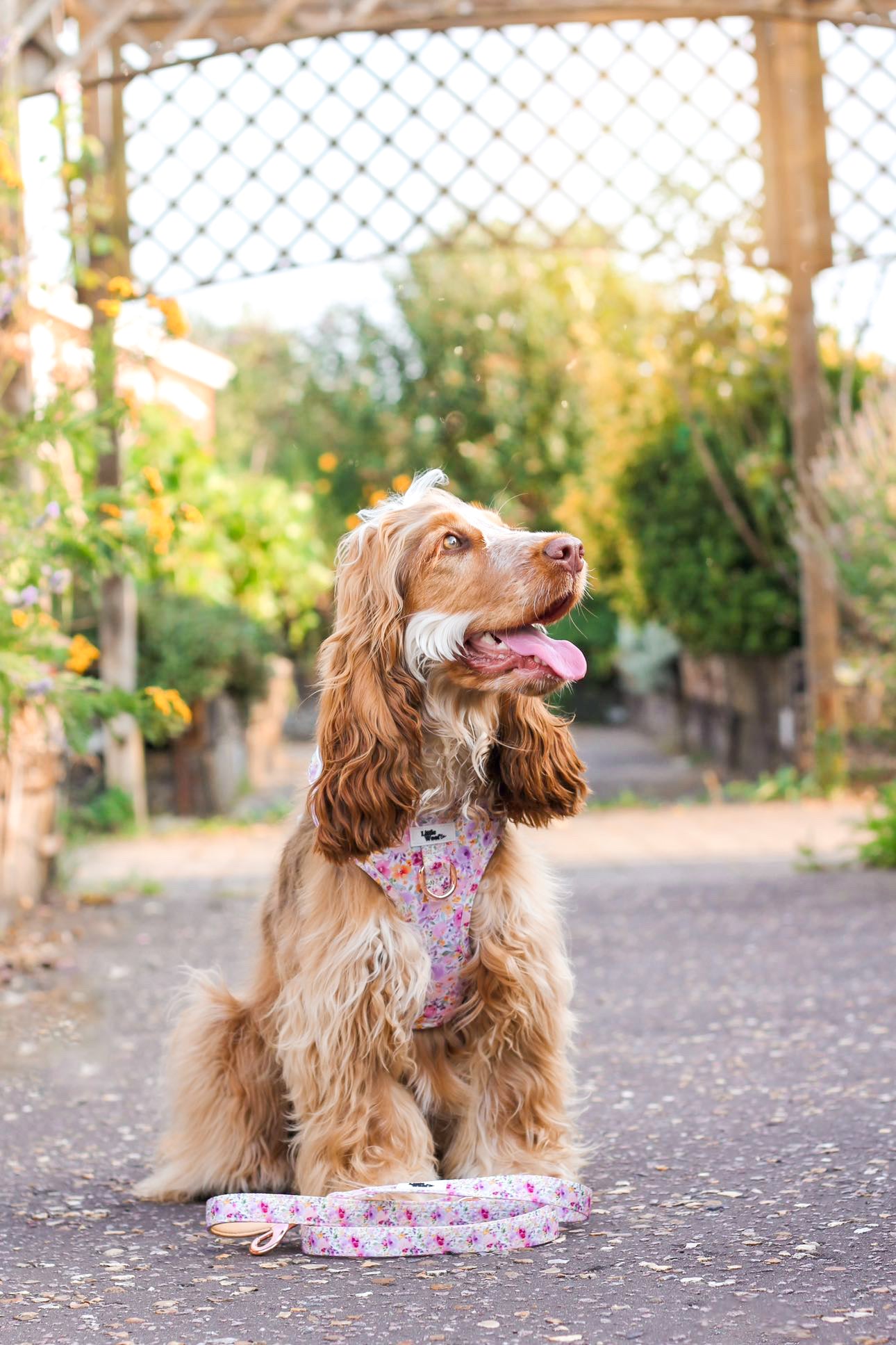 Pastel Bloom - adjustable harness