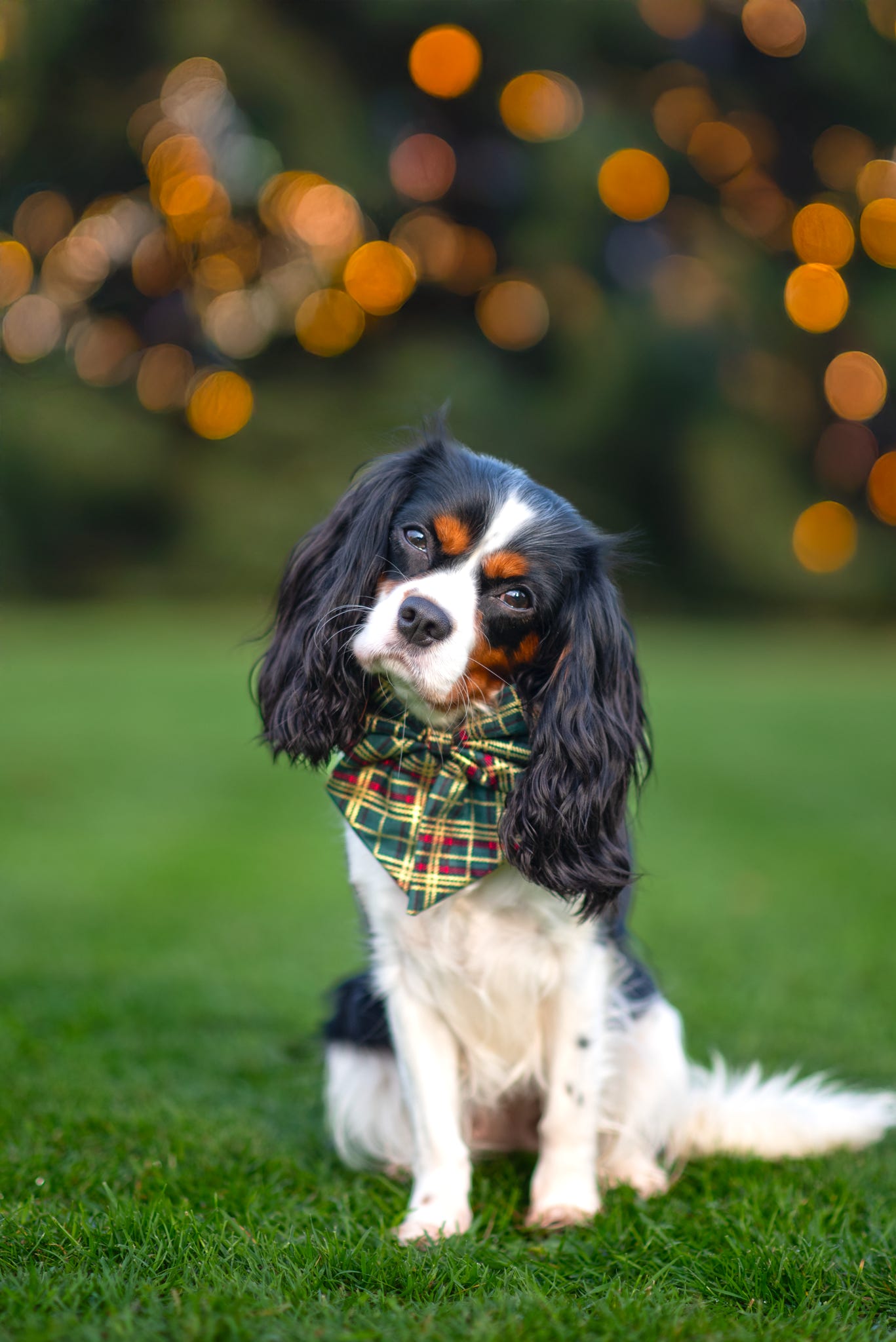 Green Tartan metallic sailor bow