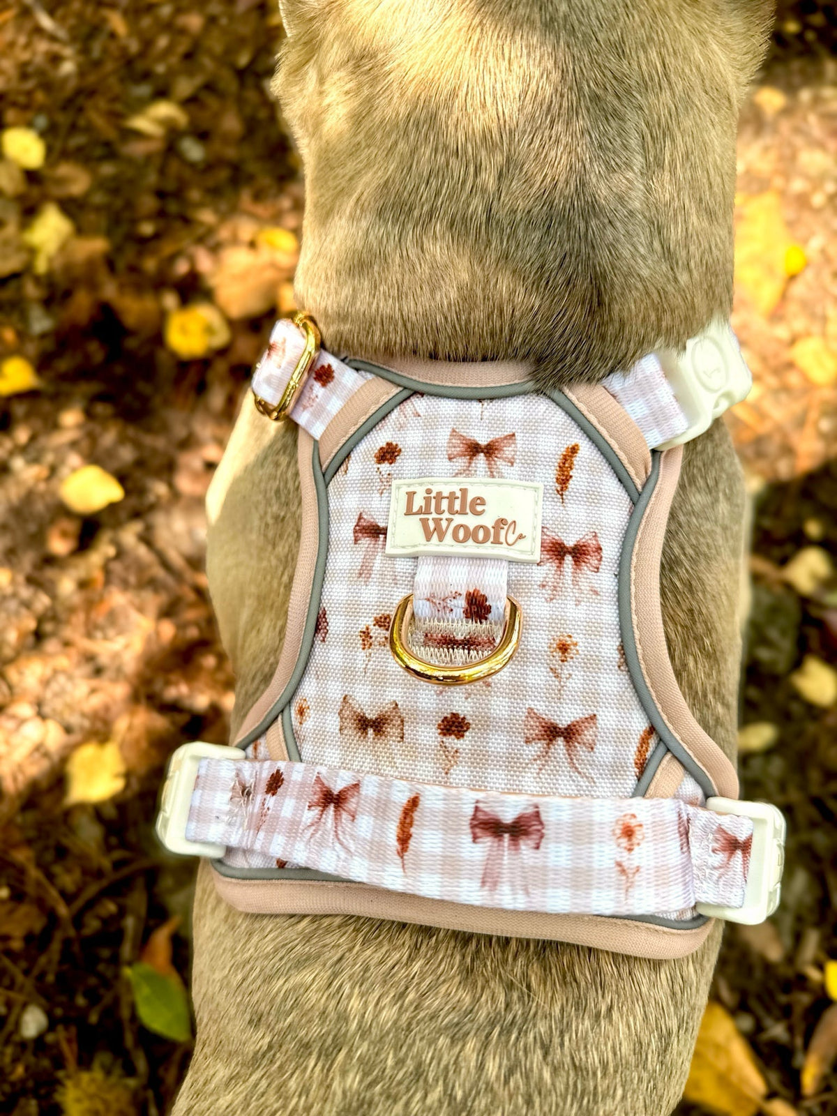 Bows & Bramble - 3-click dog harness