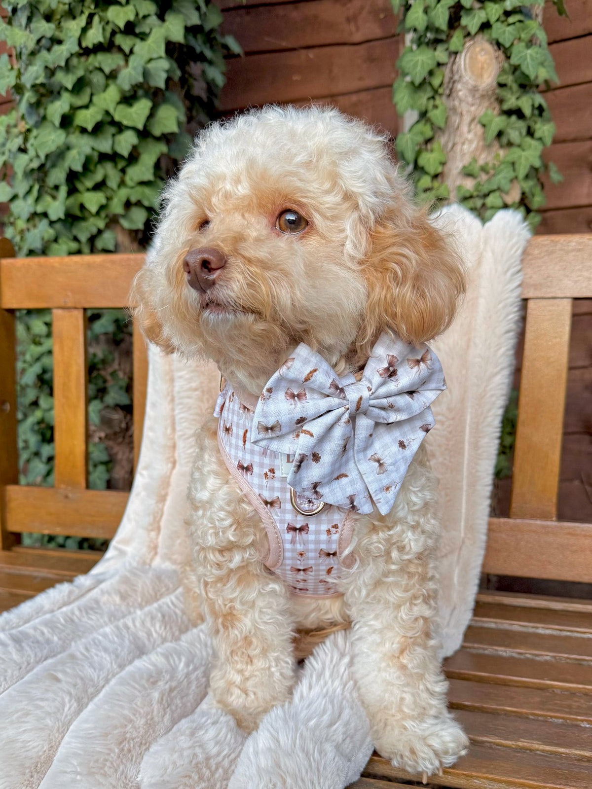 Bows & Bramble - Handmade Sailor bow