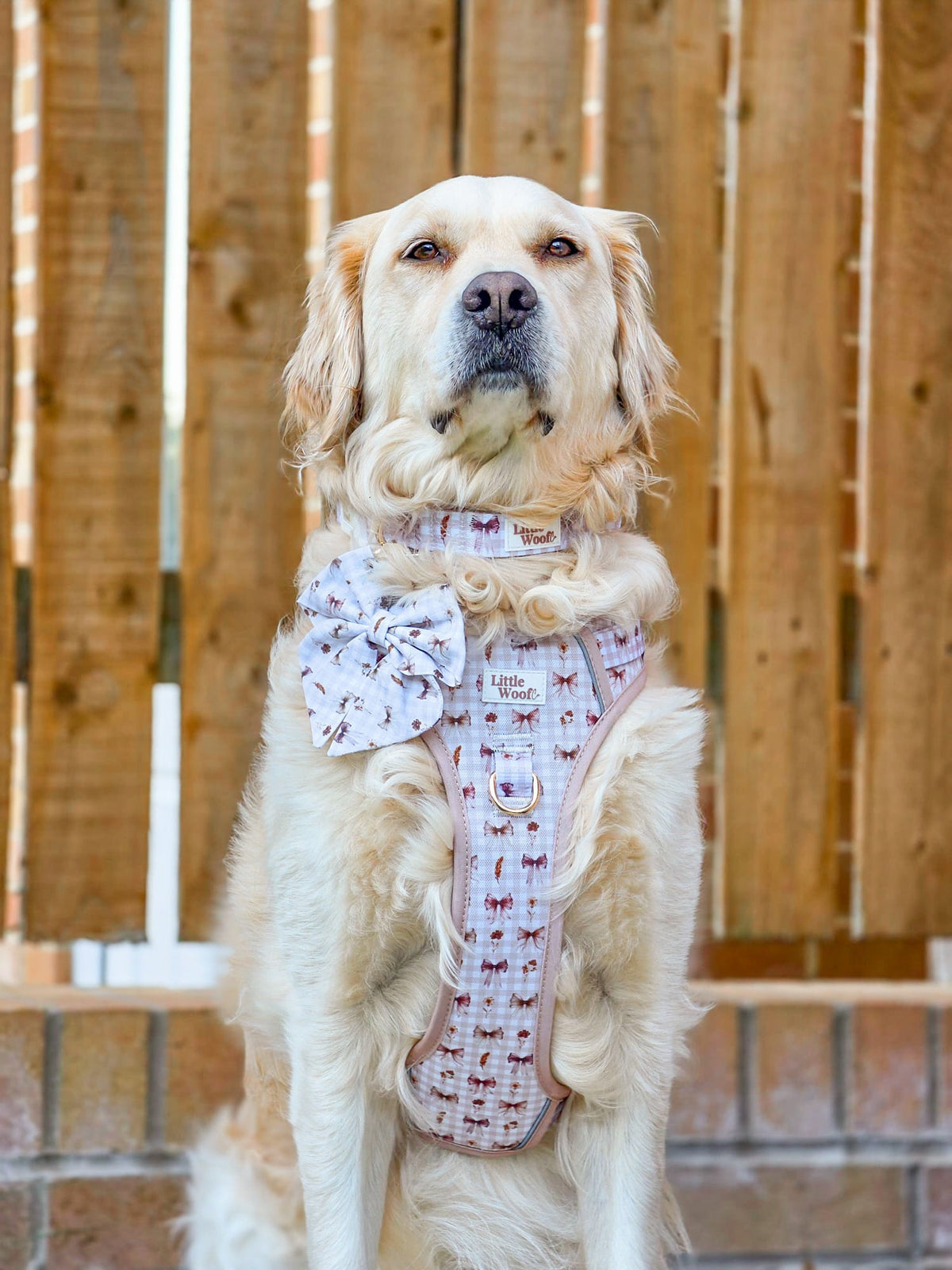Bows & Bramble - Handmade Sailor bow