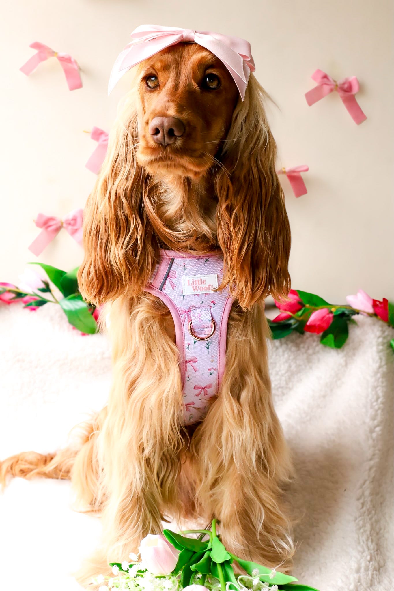 Bows & Bouquets 3-click dog harness