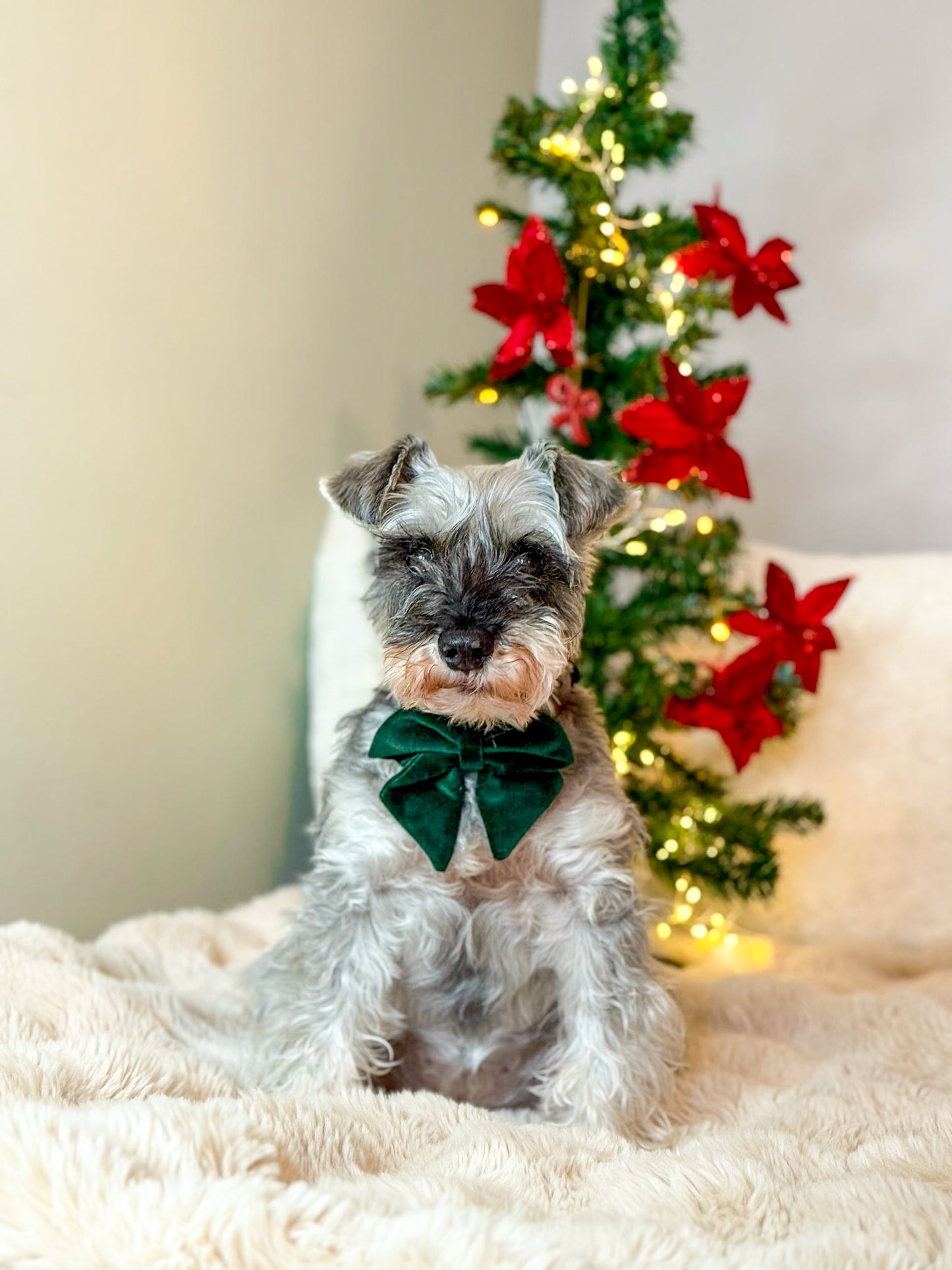 Green velvet sailor bow