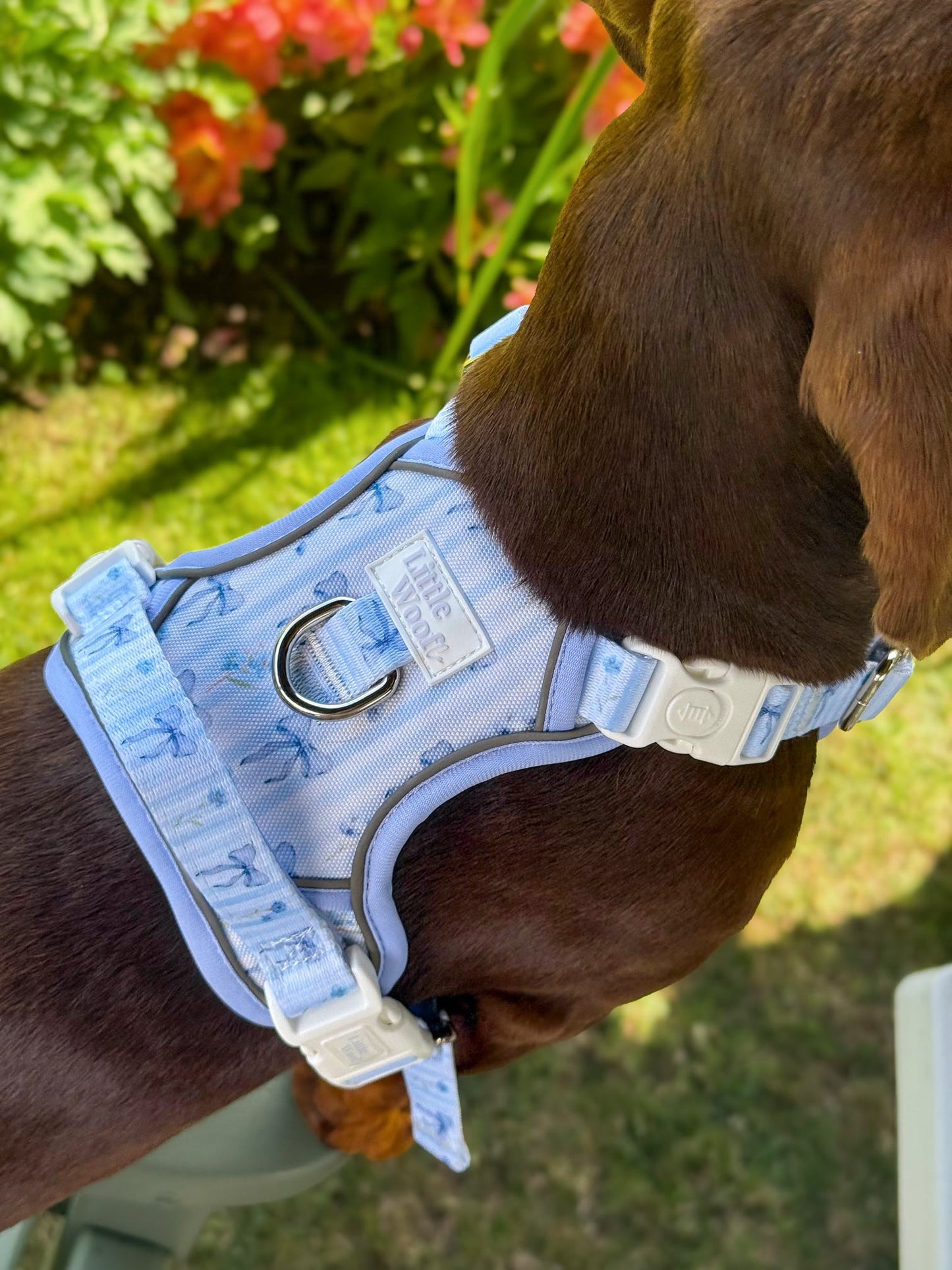 Bows & Bluebells - 3-click dog harness