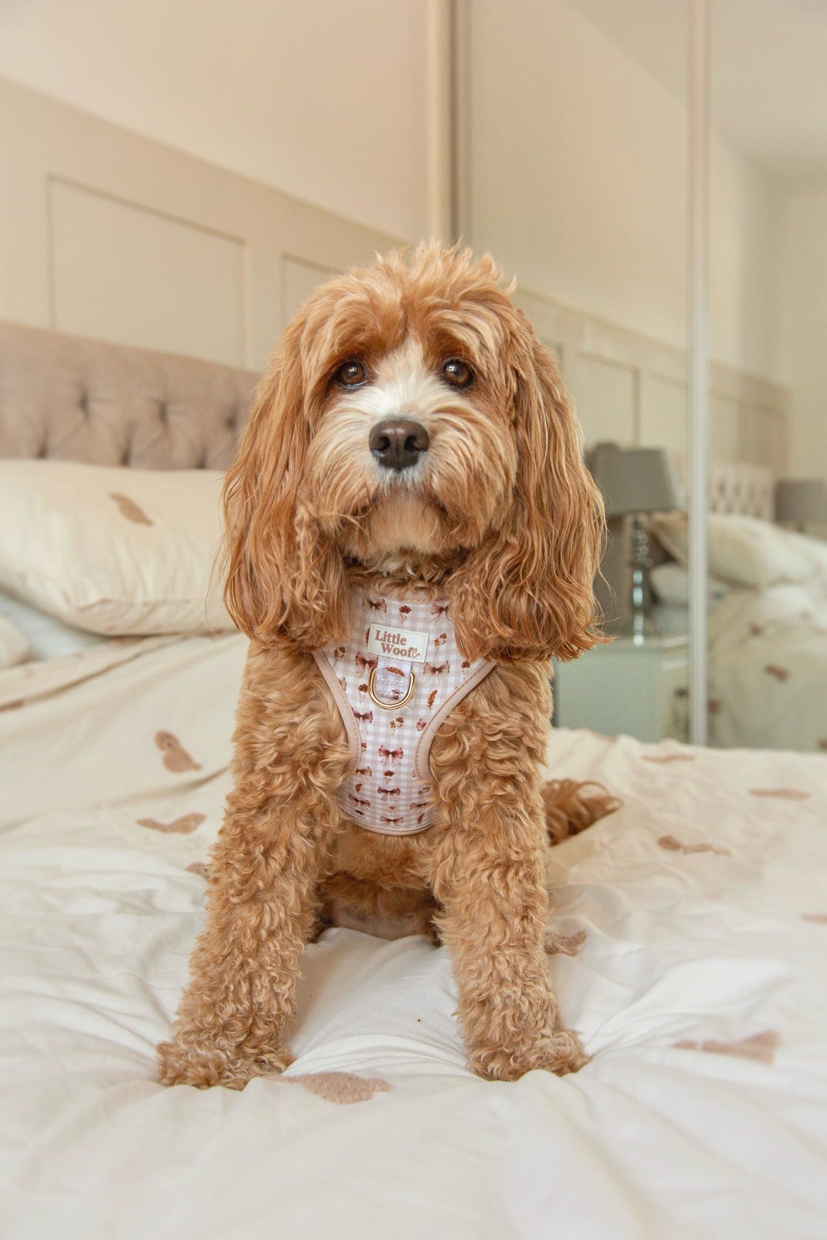 Bows & Bramble - Adjustable dog harness
