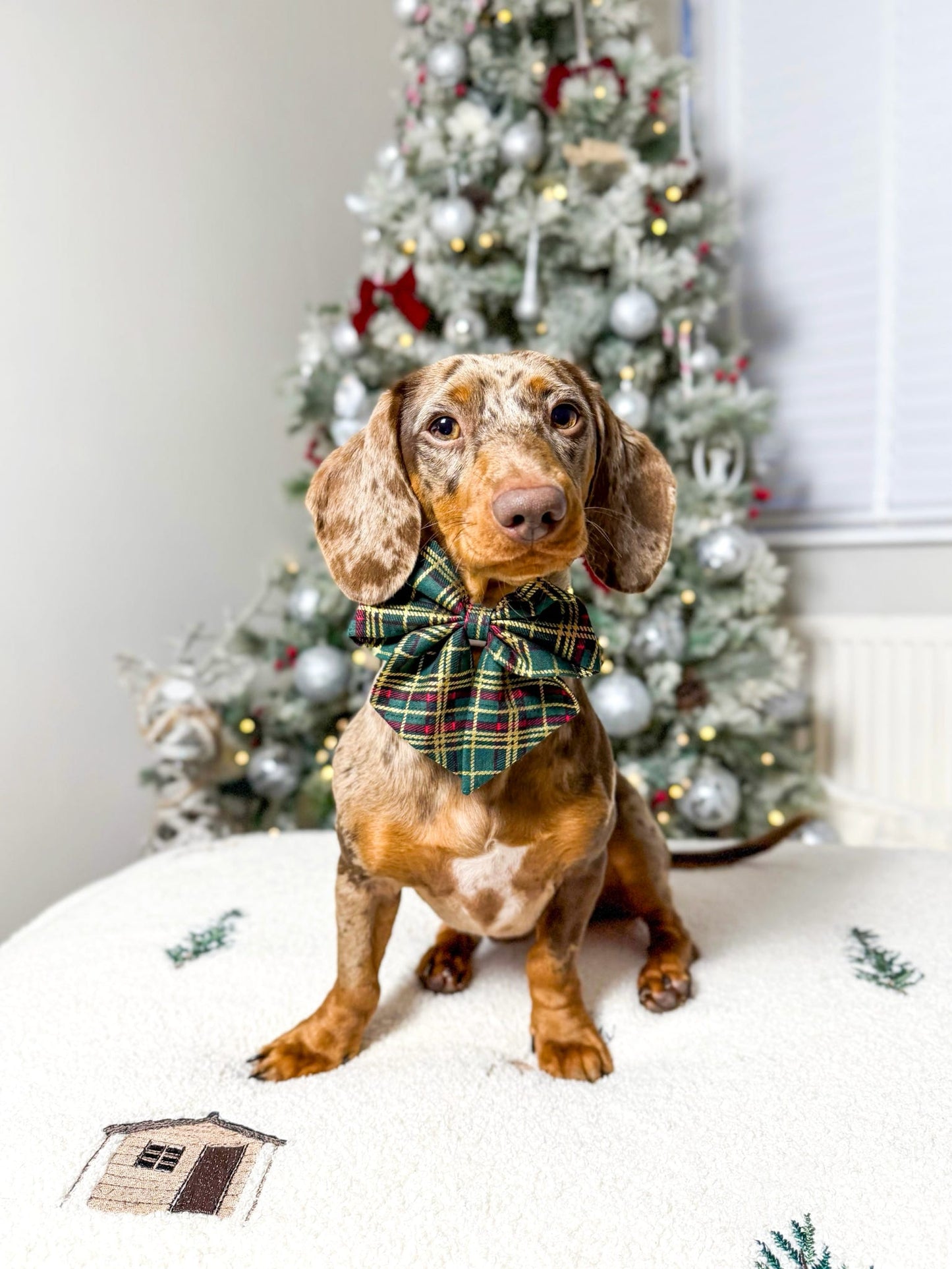 Green Tartan metallic sailor bow