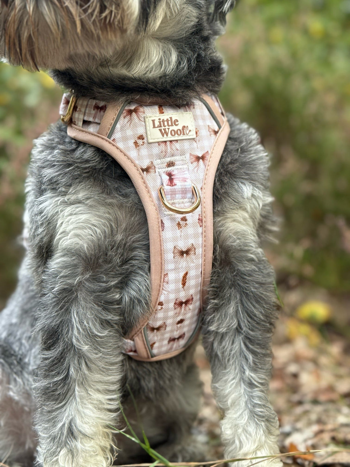Bows & Bramble - 3-click dog harness