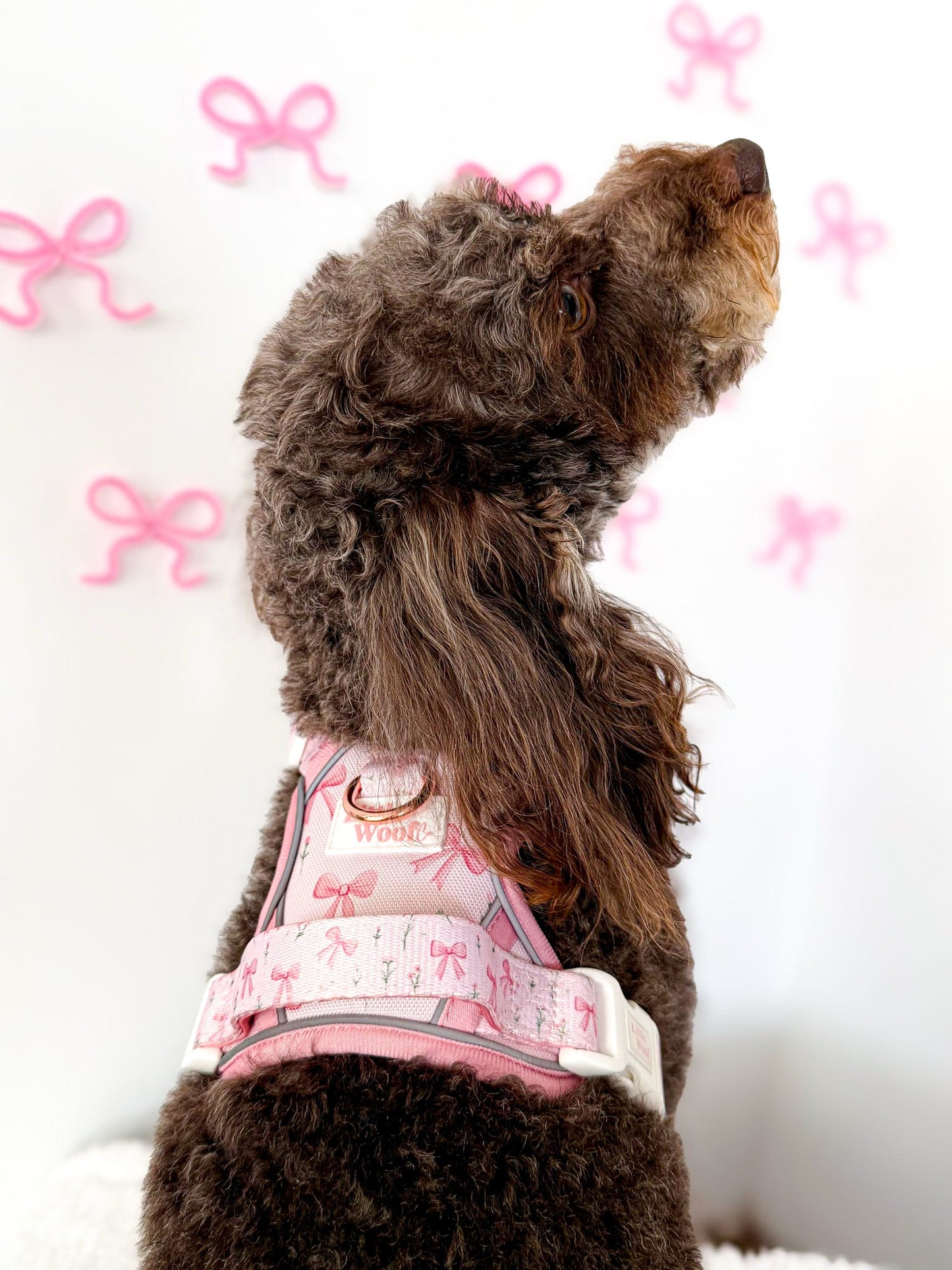 Bows & Bouquets 3-click dog harness