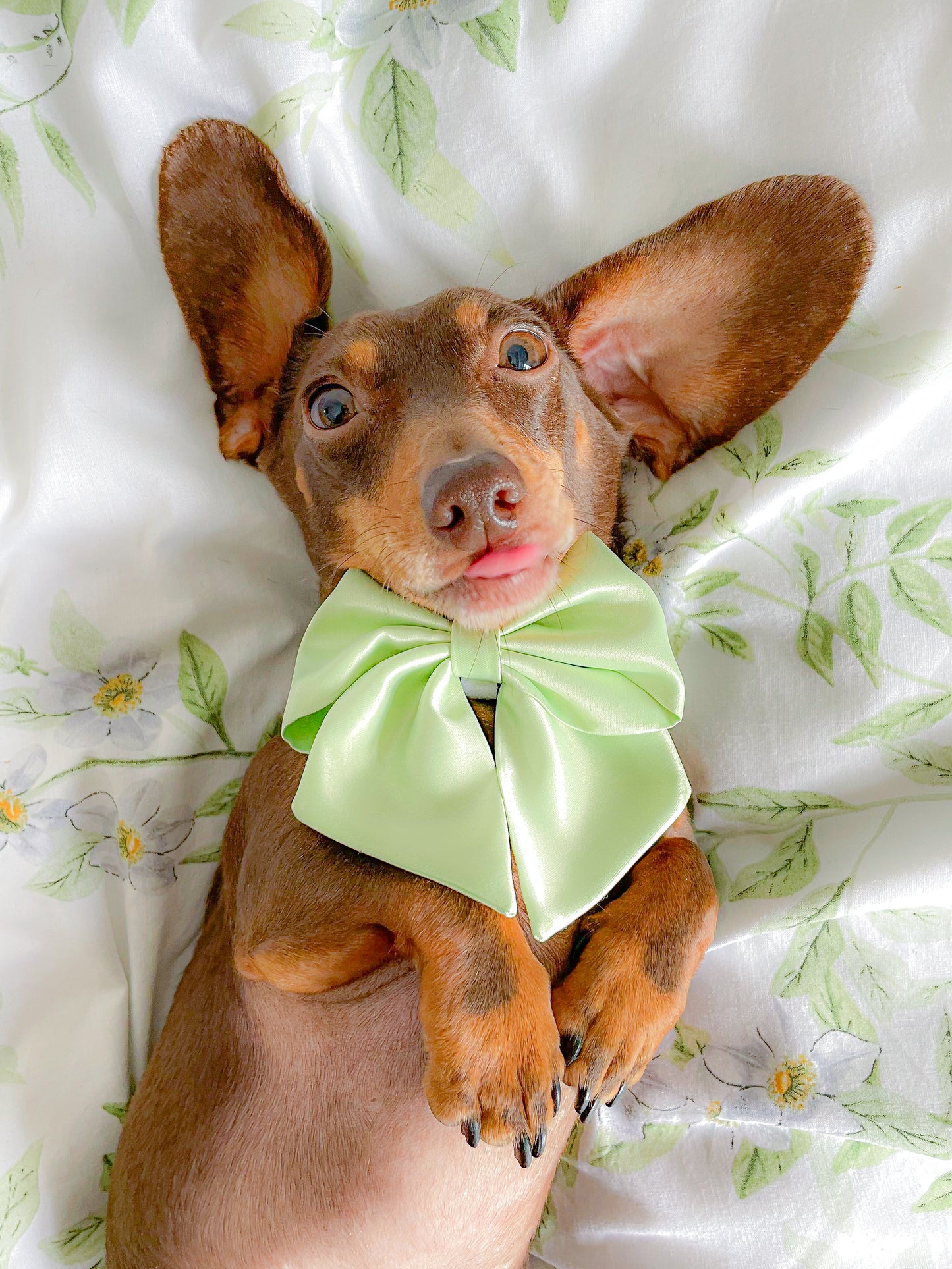 Matcha satin sailor bow
