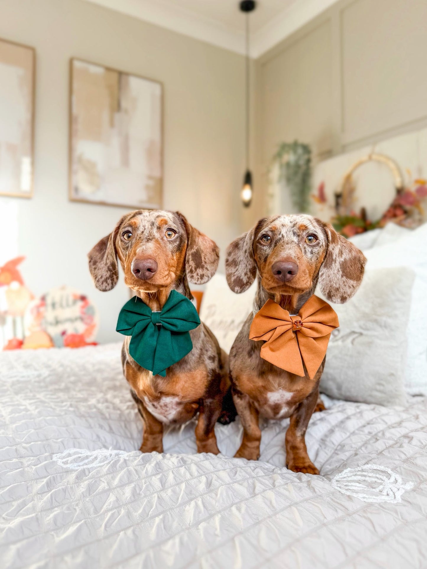 Forest green sailor bow