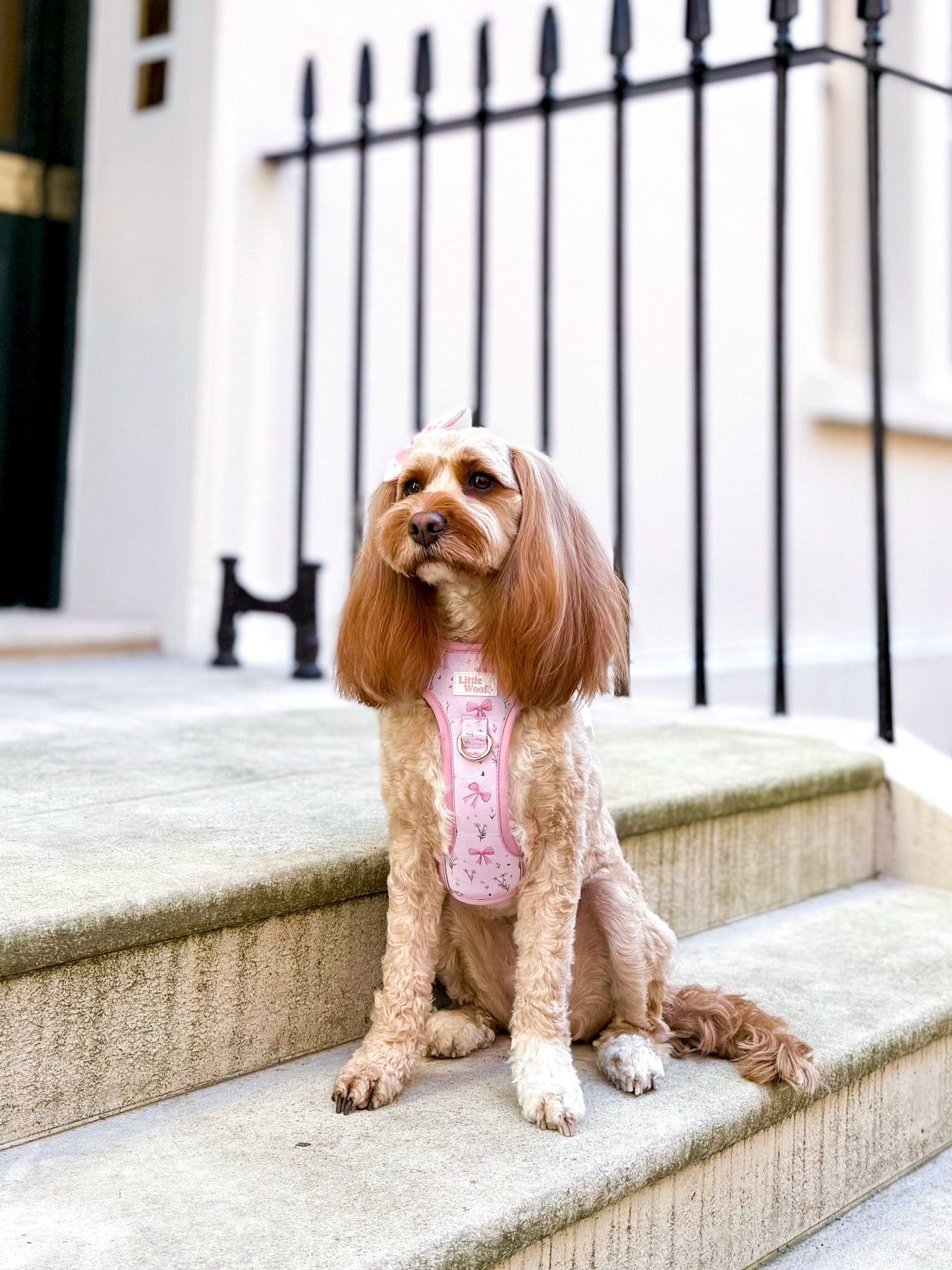 Bows & Bouquets 3-click dog harness