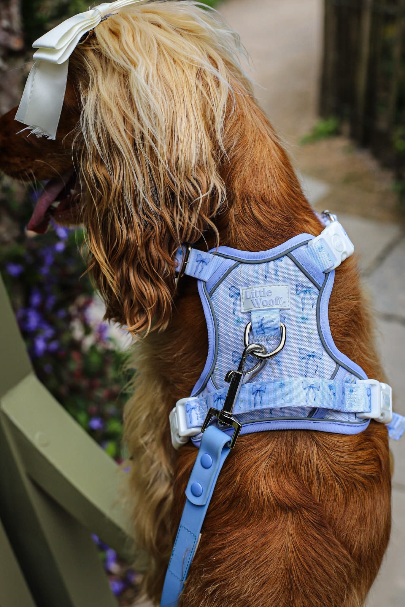 Bows & Bluebells - 3-click dog harness
