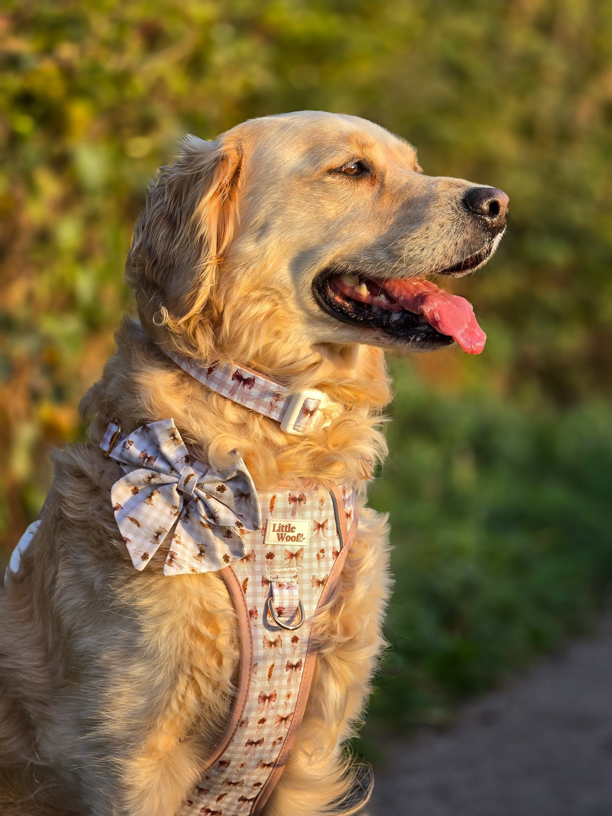 Bow & Bramble - adjustable dog collar