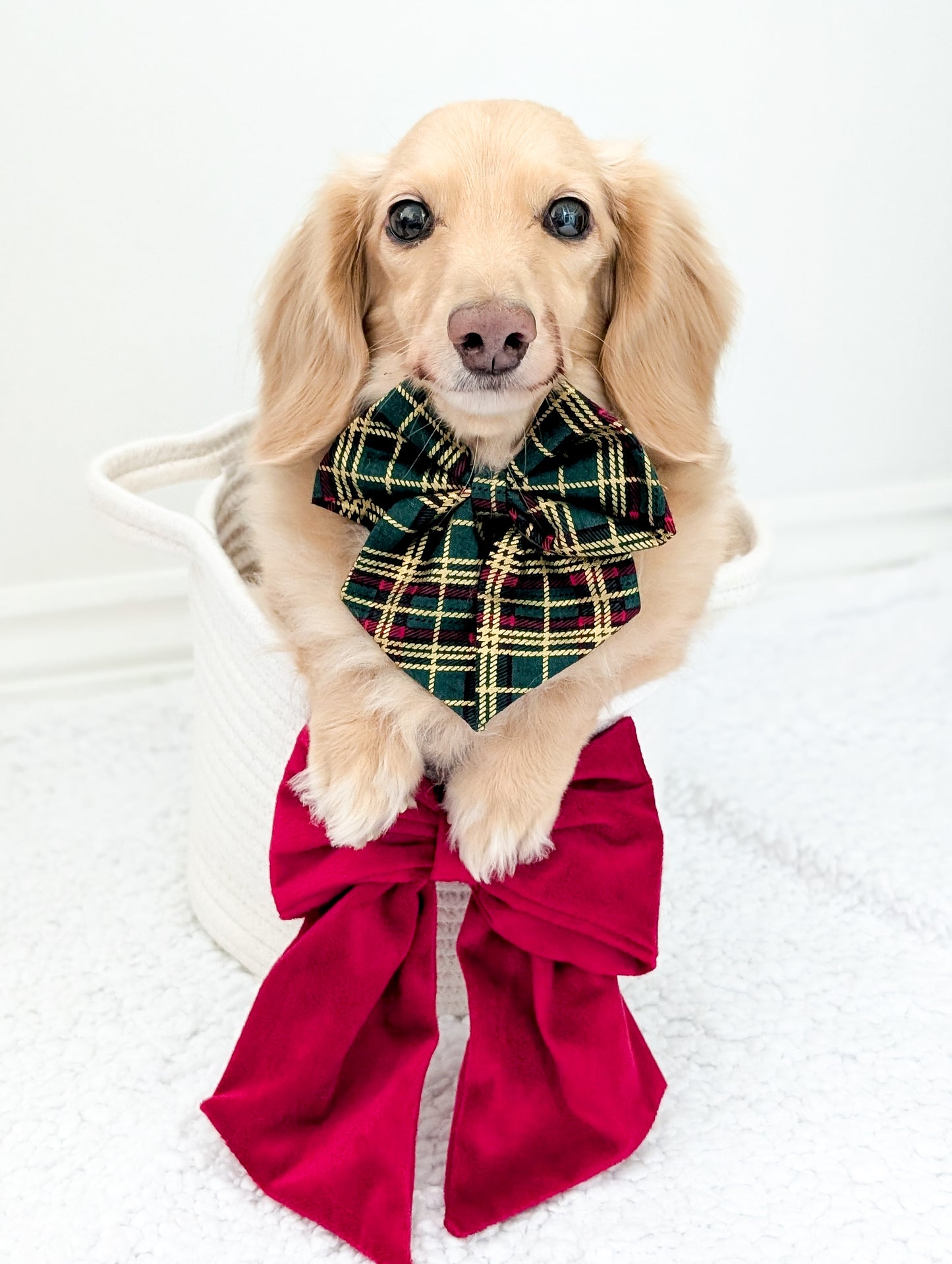 Green Tartan metallic sailor bow