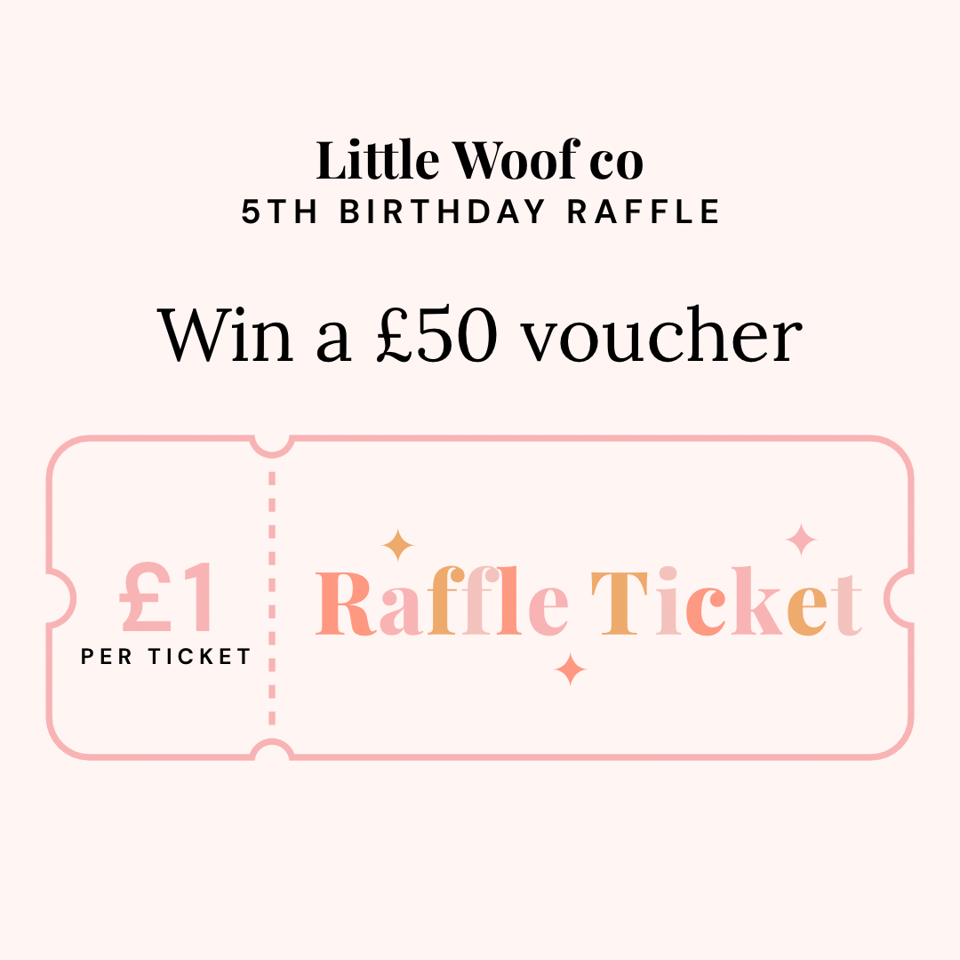 Raffle Ticket