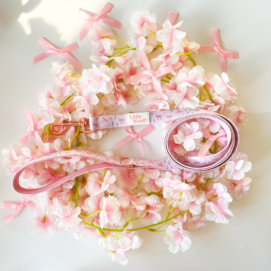 Bows & Bouquets - 4ft lead