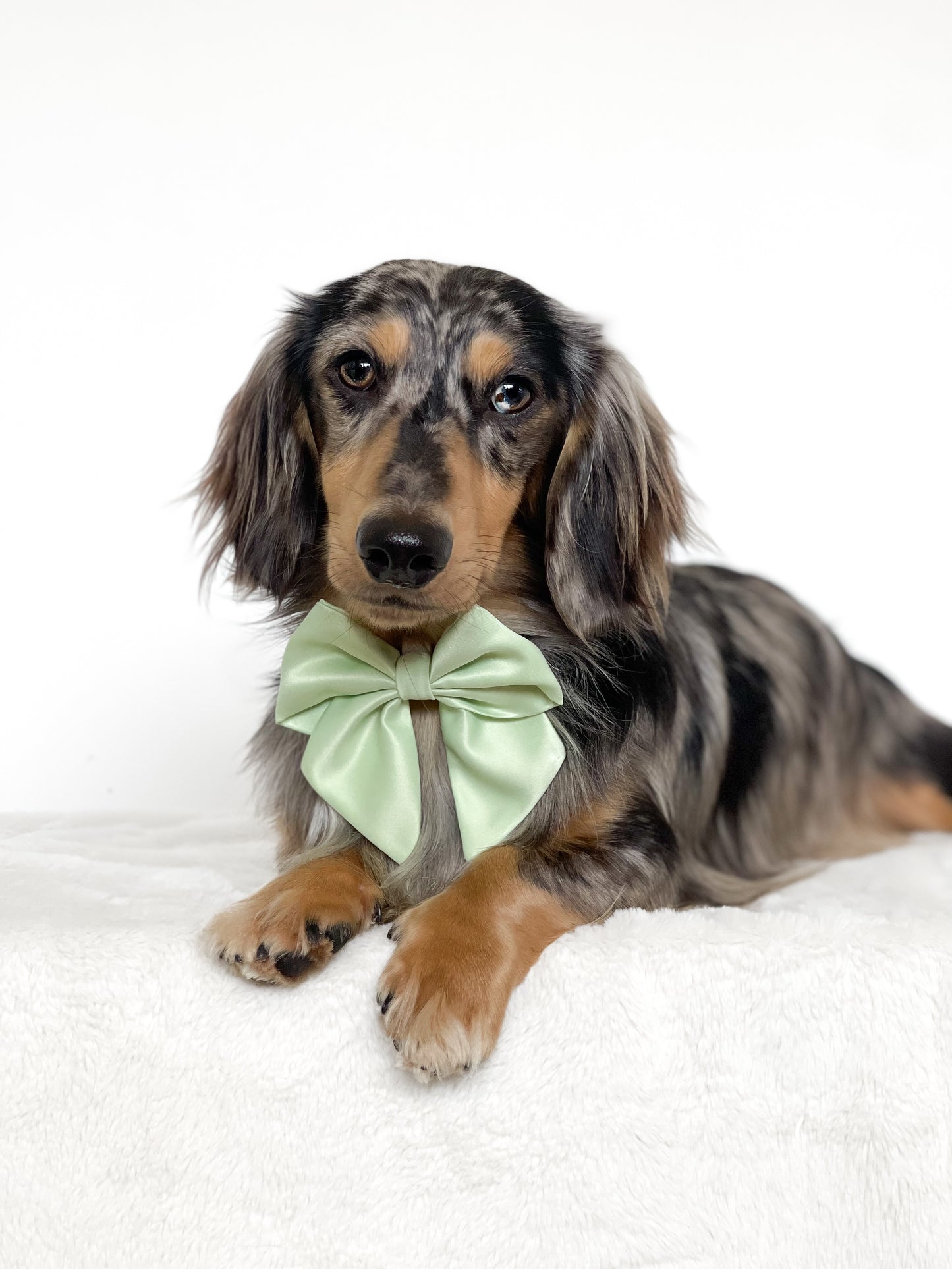 Matcha satin sailor bow