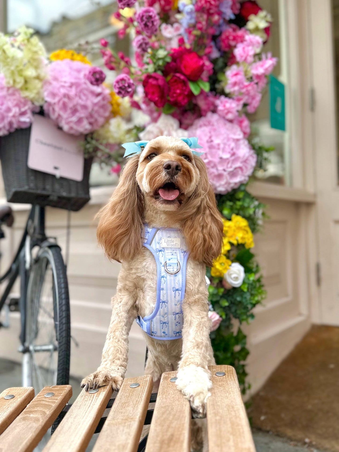 Bows & Bluebells - 3-click dog harness