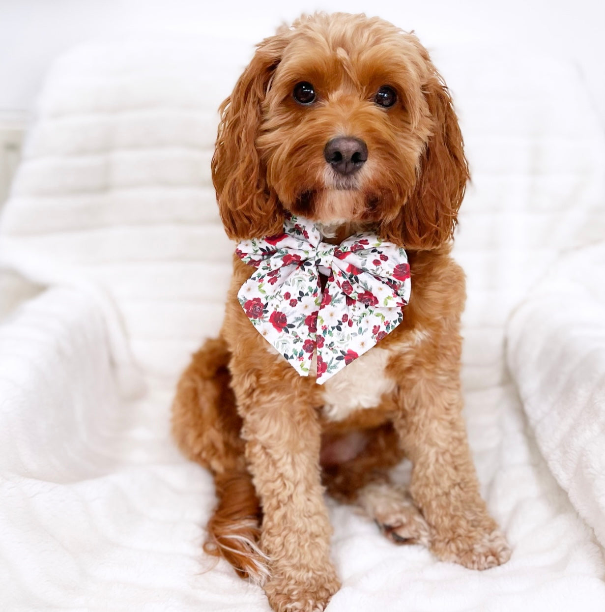 Noelle floral sailor bow