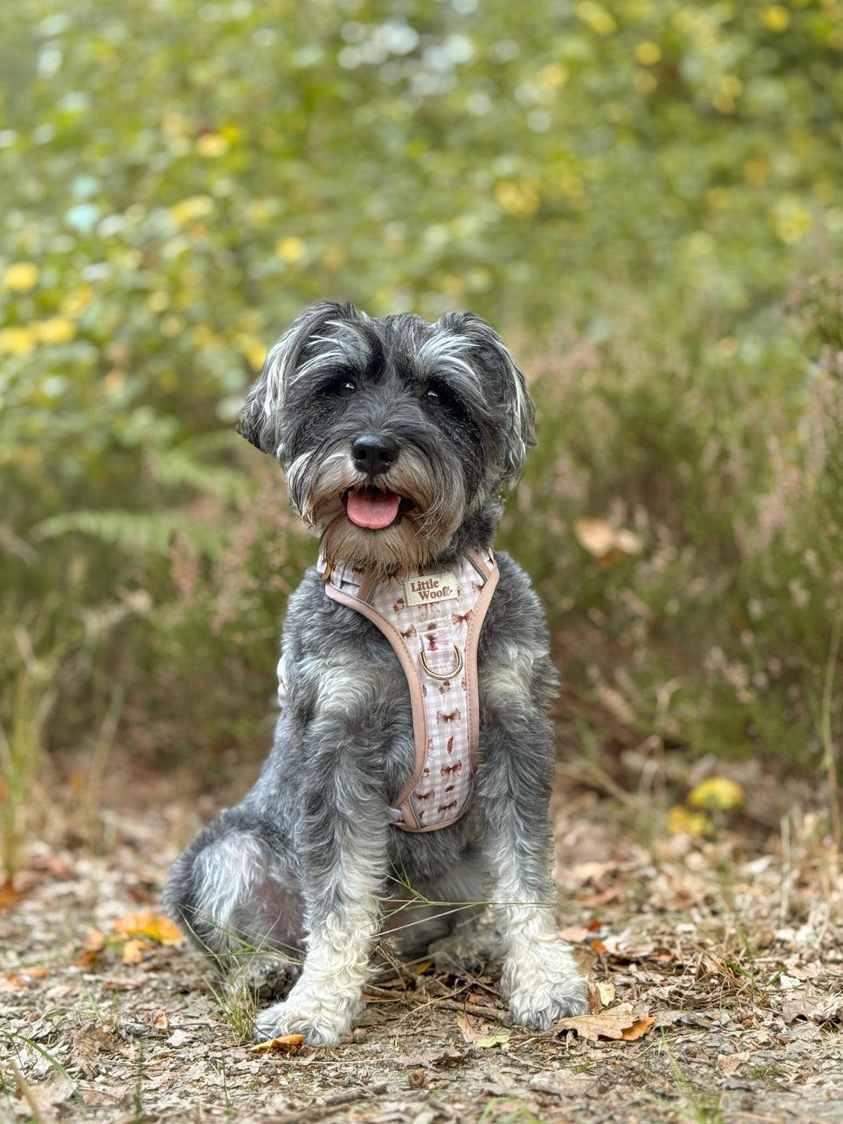 Bows & Bramble - 3-click dog harness