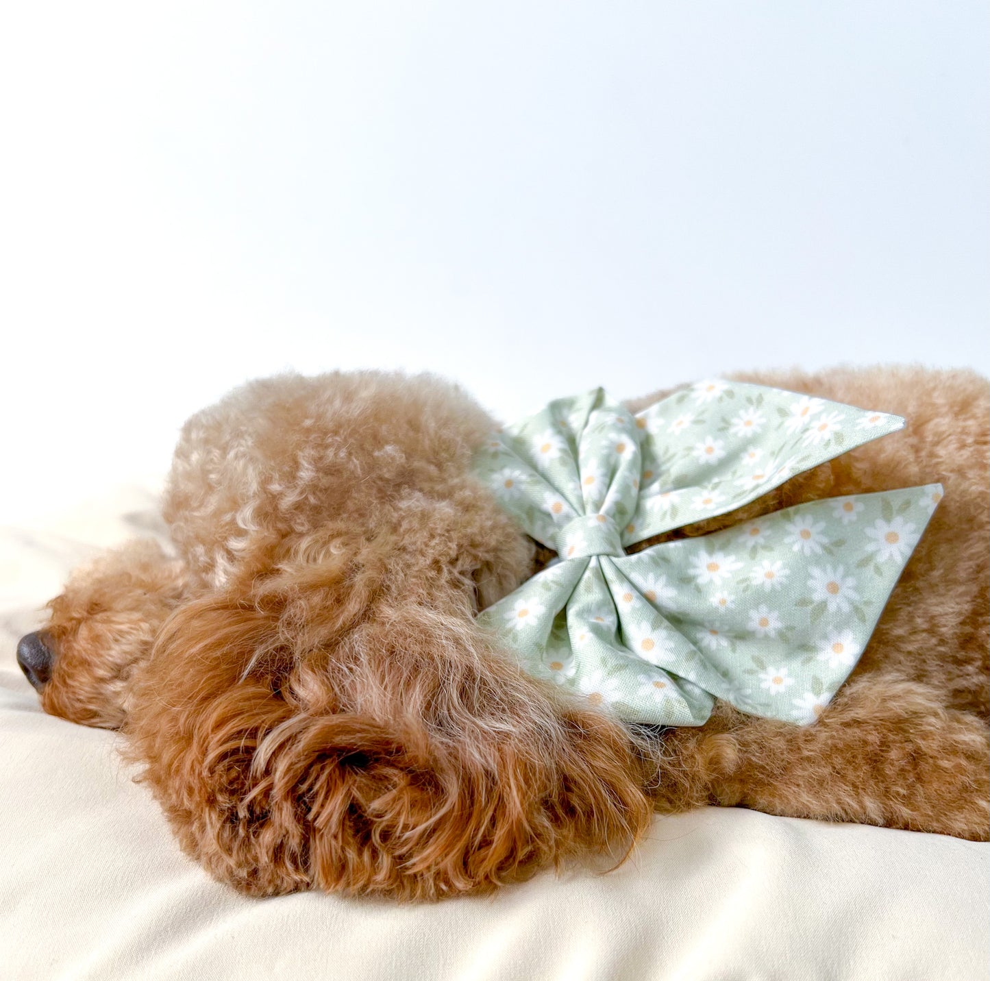 Daisy chain sailor bow