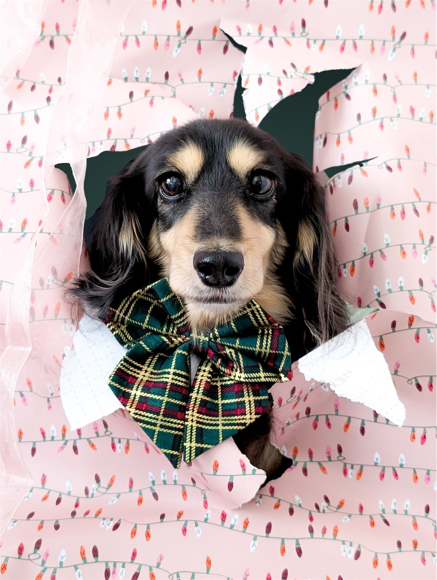 Green Tartan metallic sailor bow