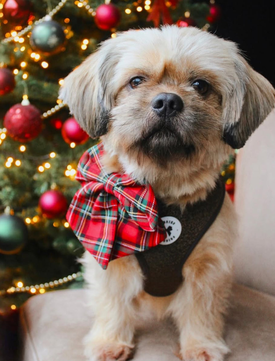 Red tartan Sailor bow
