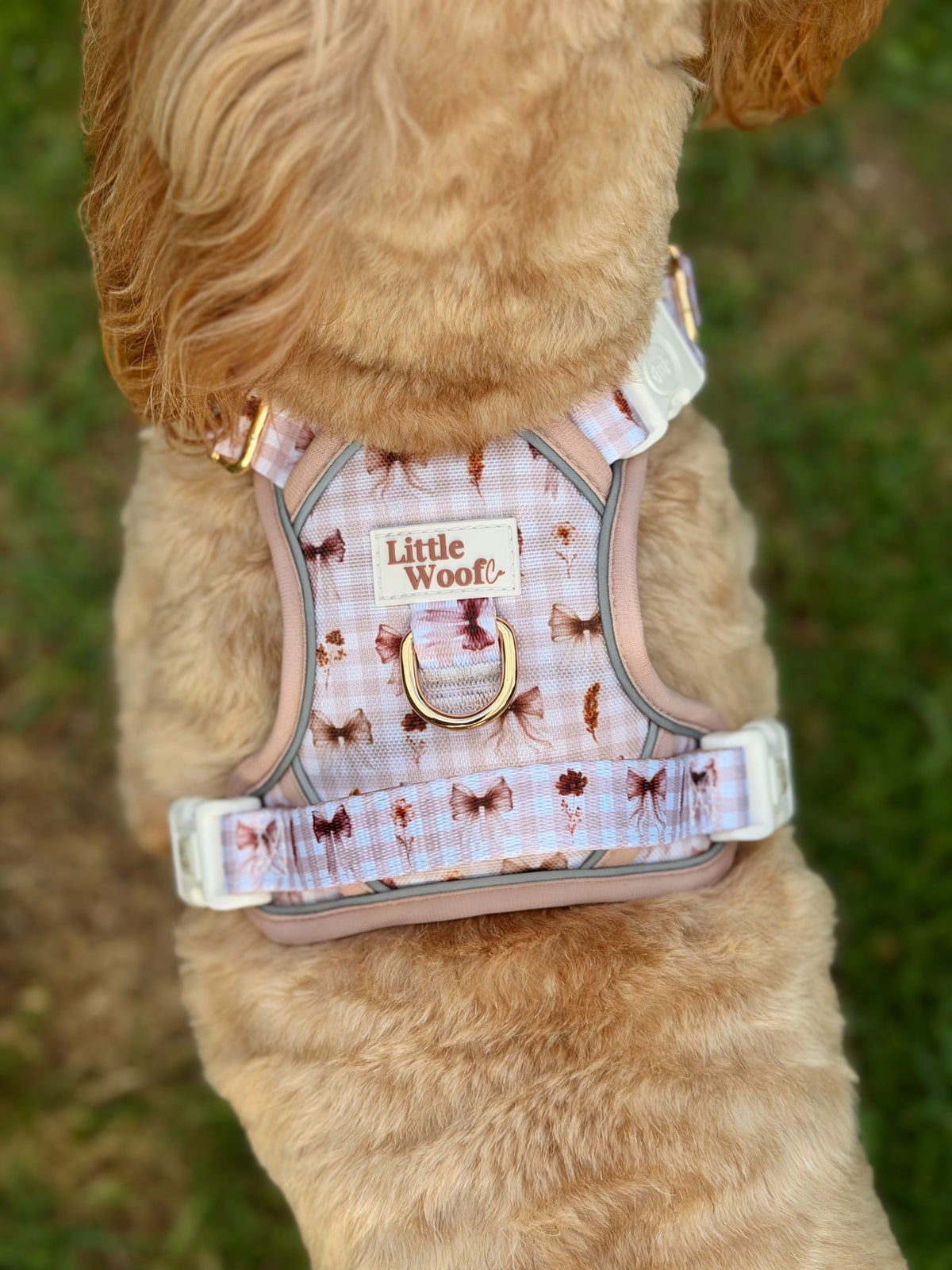 Bows & Bramble - 3-click dog harness
