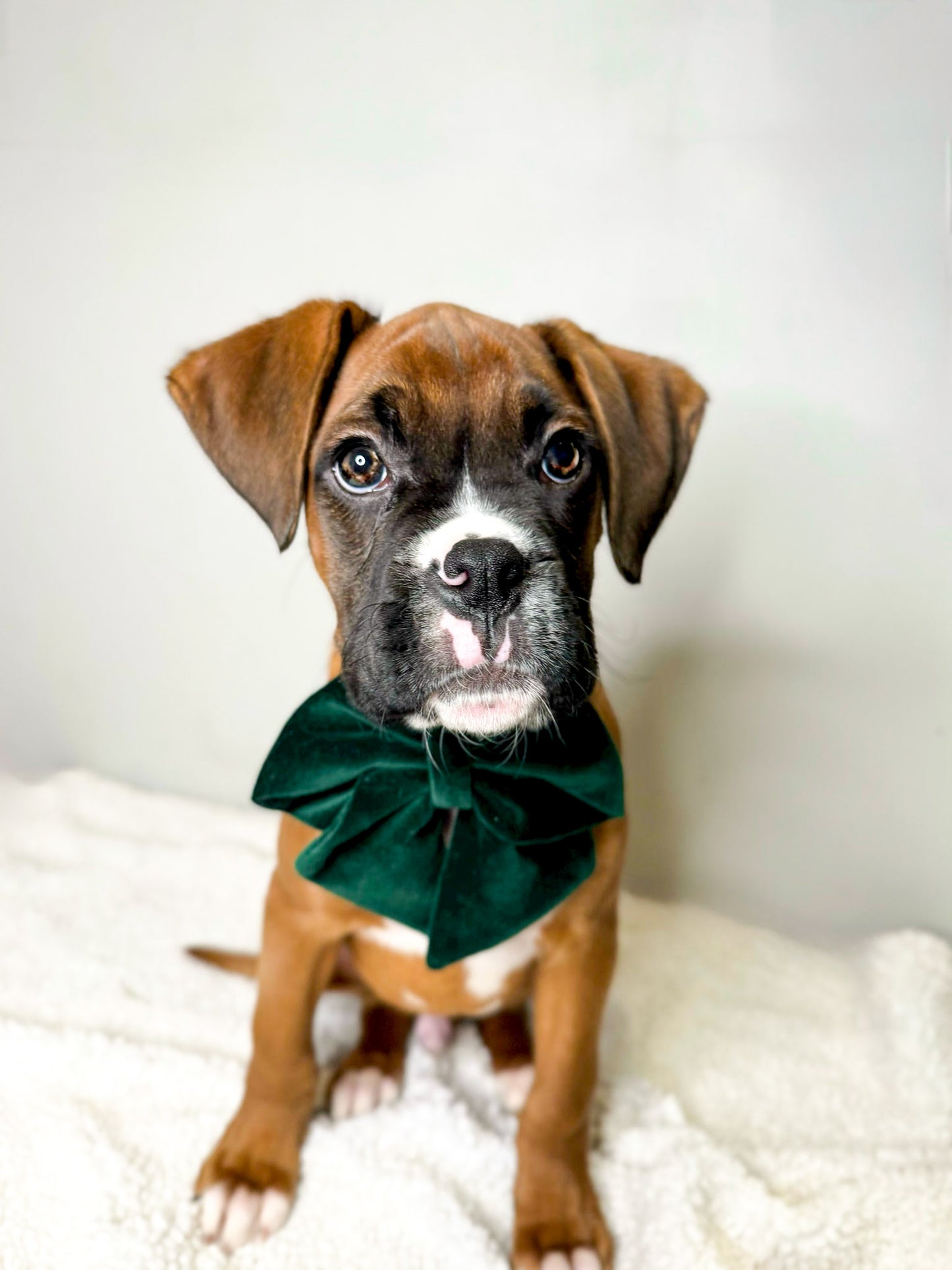 Green velvet sailor bow