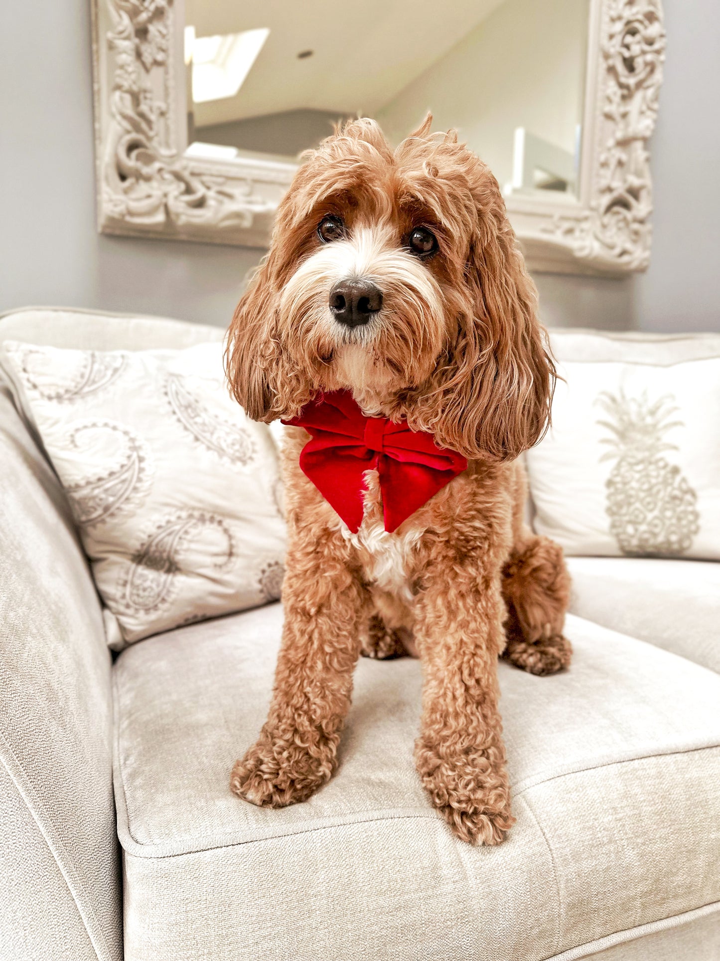 Red velvet sailor bow